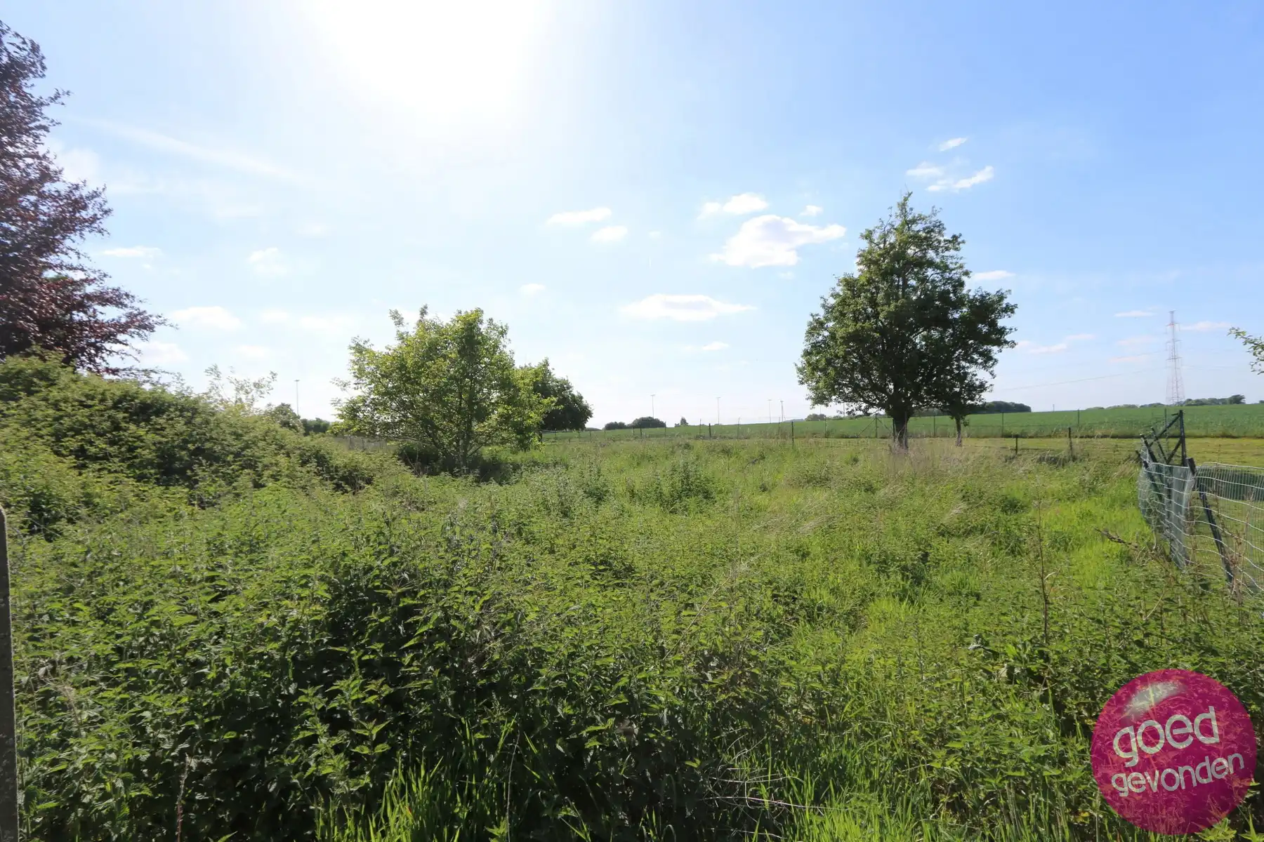 WONING+WEIDE - 2 SLK - 2 KEUKENS - TERRAS - TUIN - GARAGE foto 17