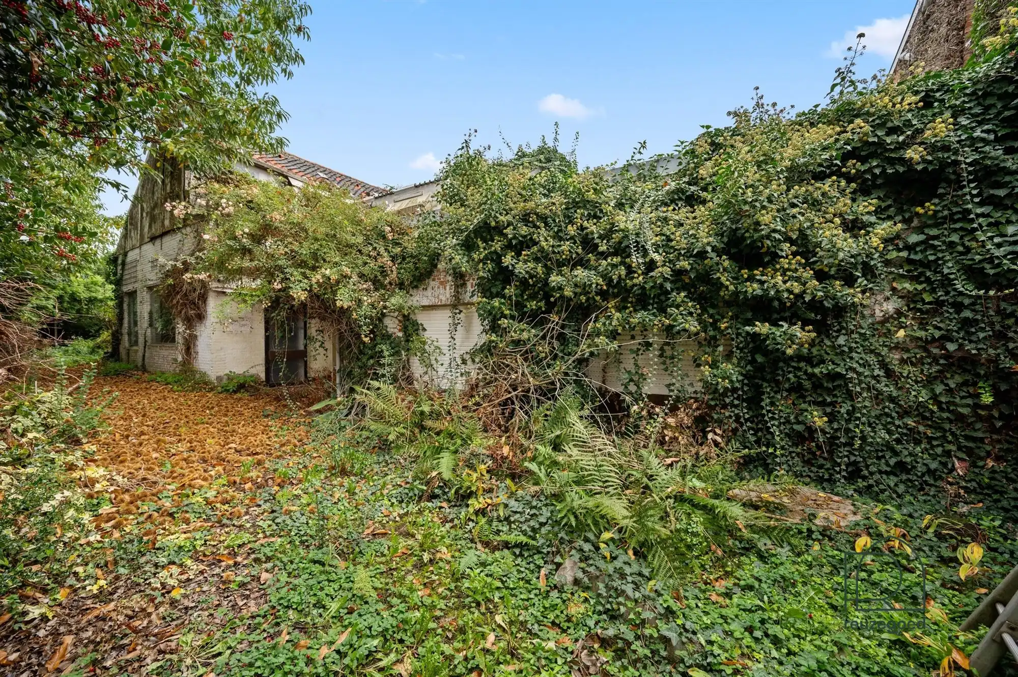 Ruime woning met authentieke charme, bijgebouwen en tal van mogelijkheden in Hombeek foto 25