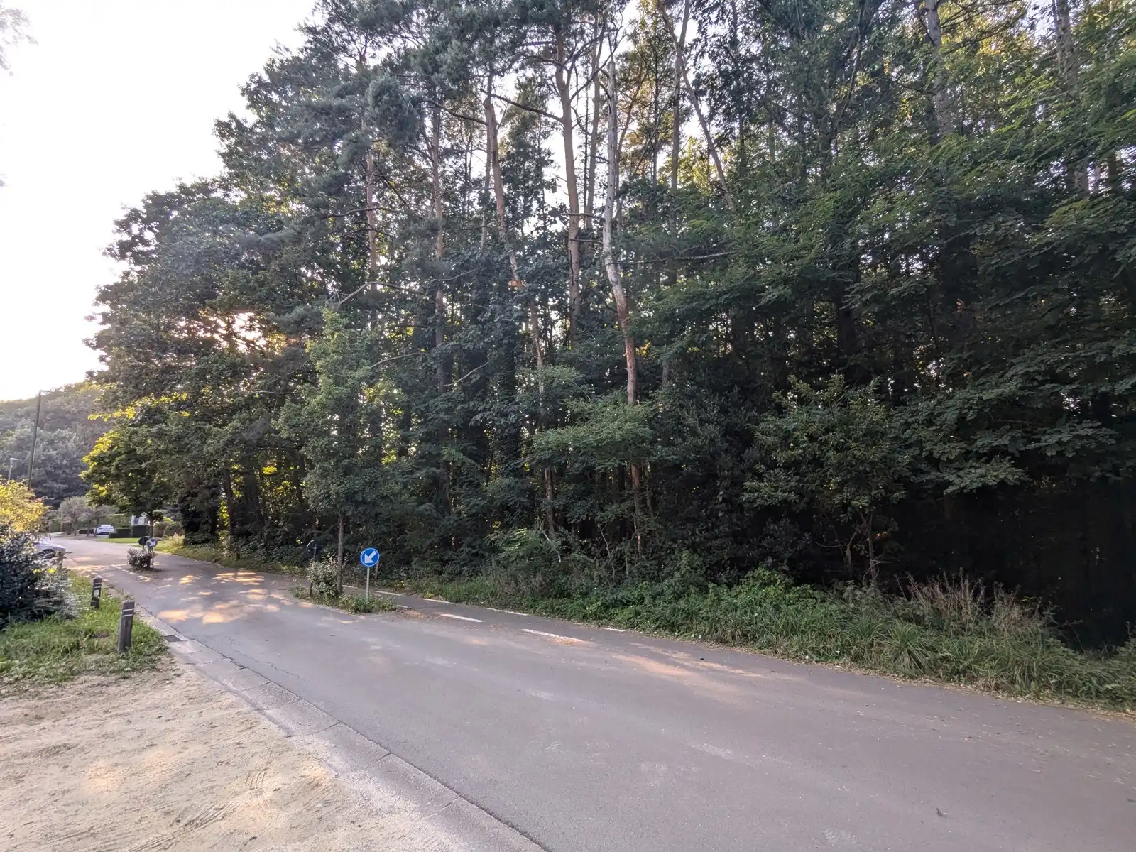 Natuurgebied in residentiële wijk met vakantiewoning foto 3