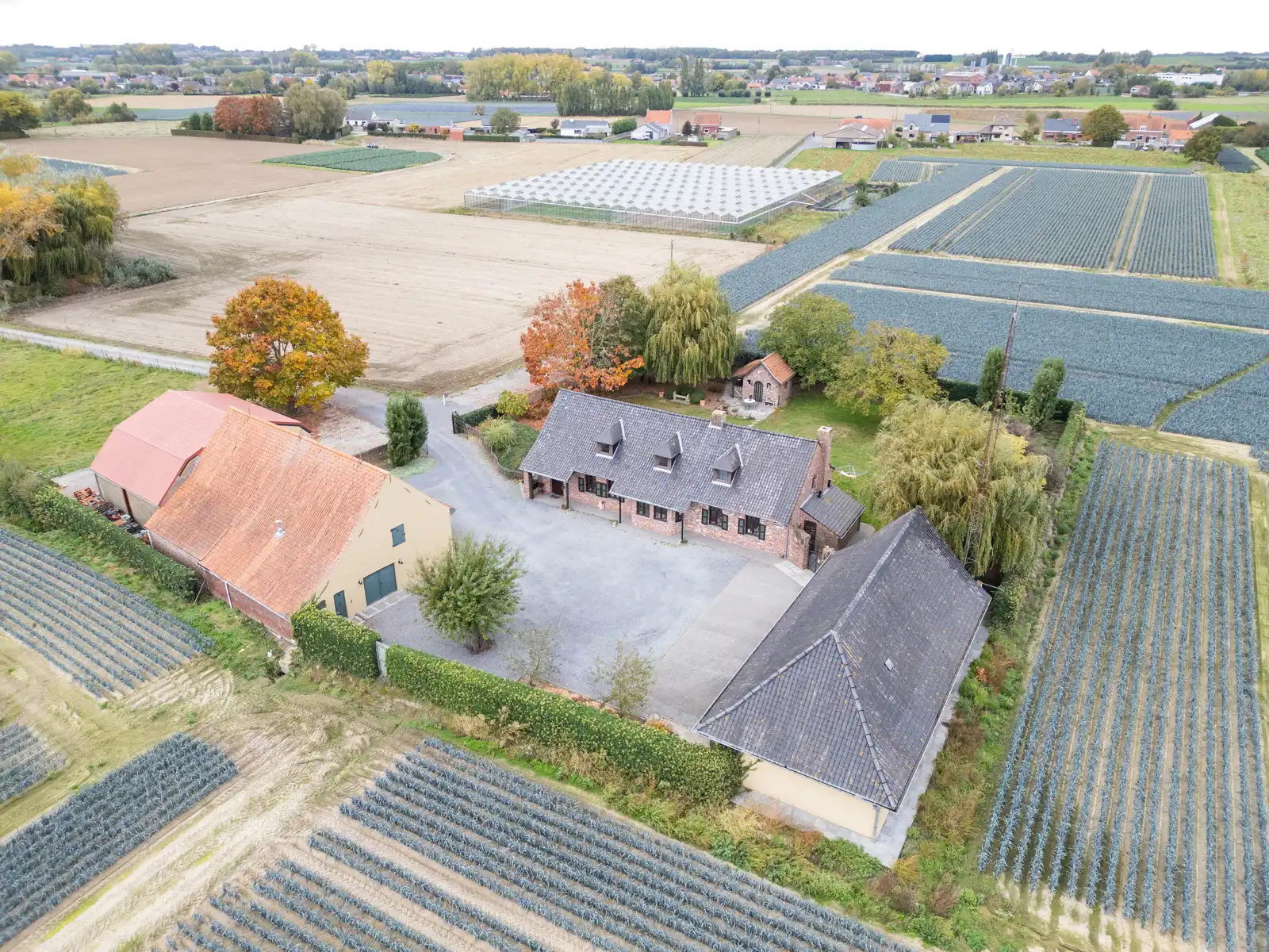 Landhuis met 2 magazijnen, rustig gelegen op 5.388 m² foto 35