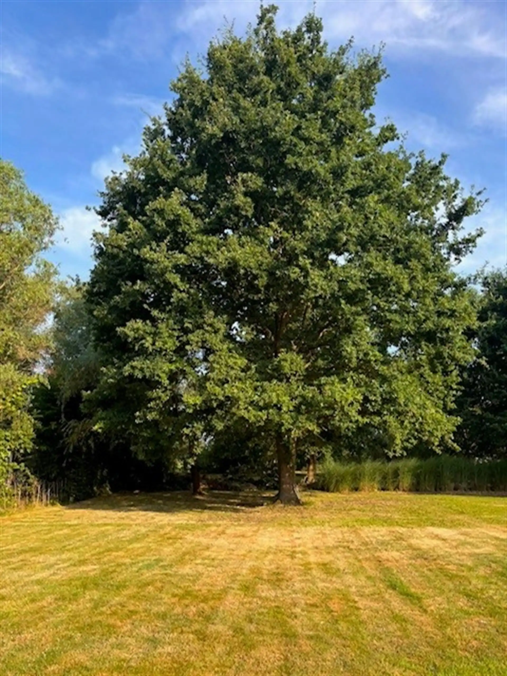 GERENOVEERDE HOB MET PRACTHGIE TUIN IN SKW foto 15