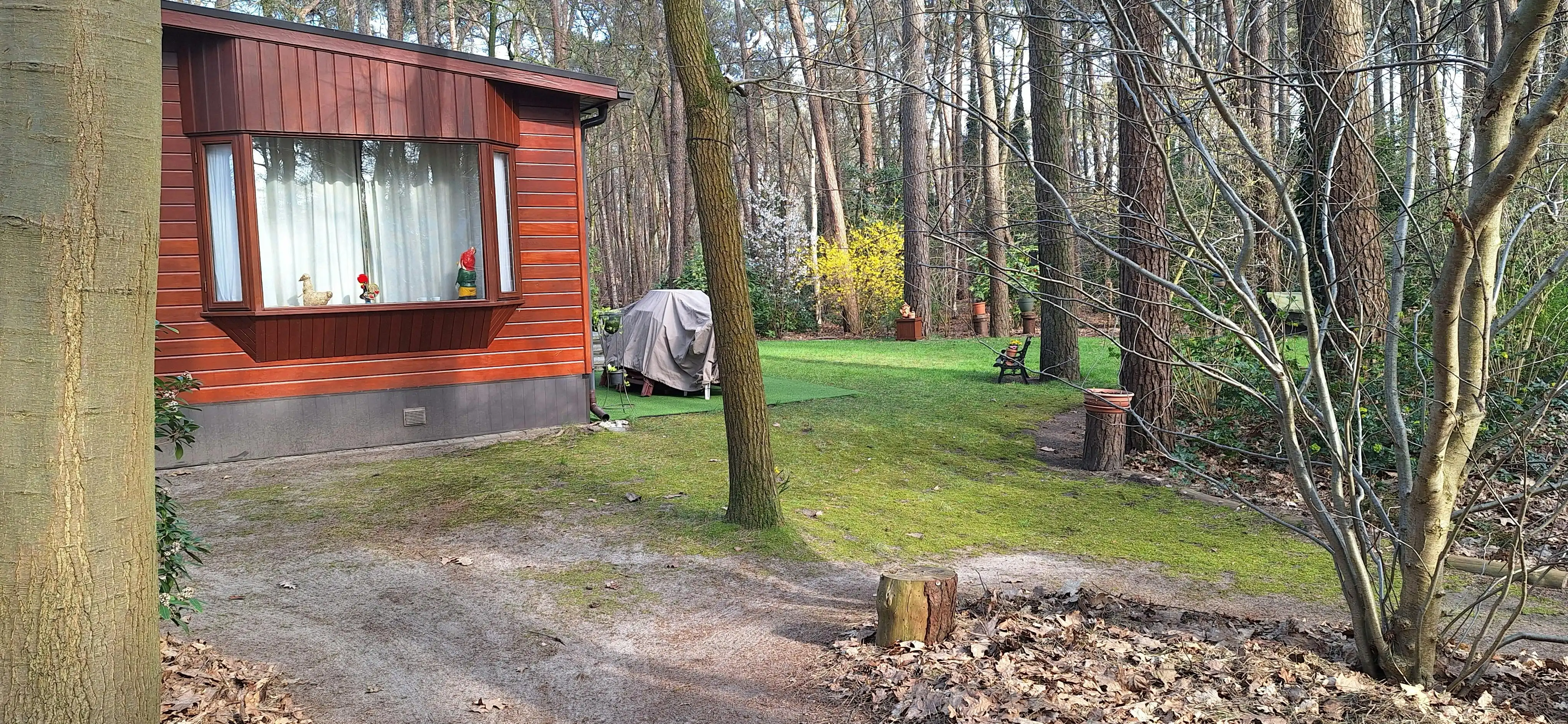 Verzorgde woning op prachtige bosgrond te koop in Wuustwezel foto 25