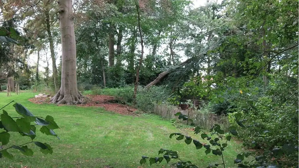 Instapklare Assistentiewoning met TERRAS te huur in Brugge foto 20