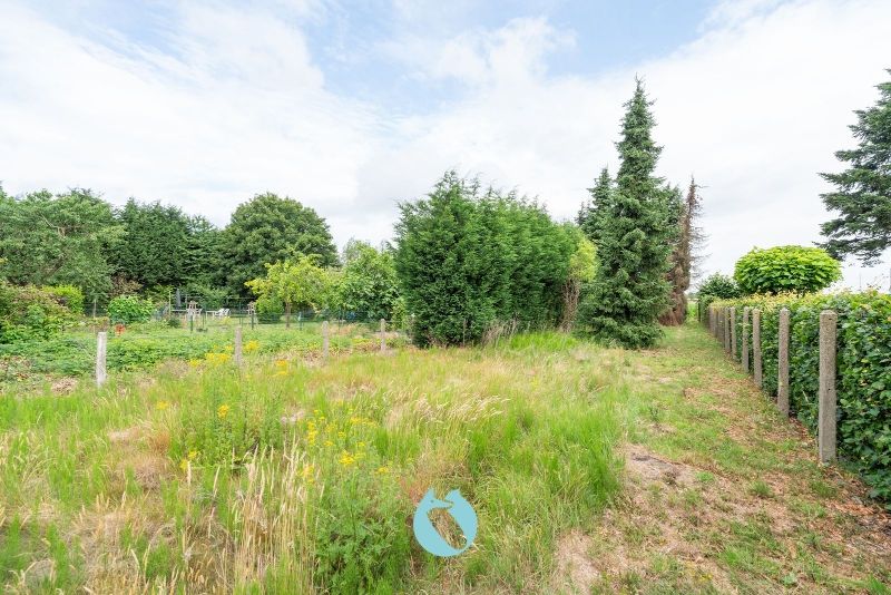 Ontdek deze woning gelegen op een royaal perceel van 646 m² foto 15
