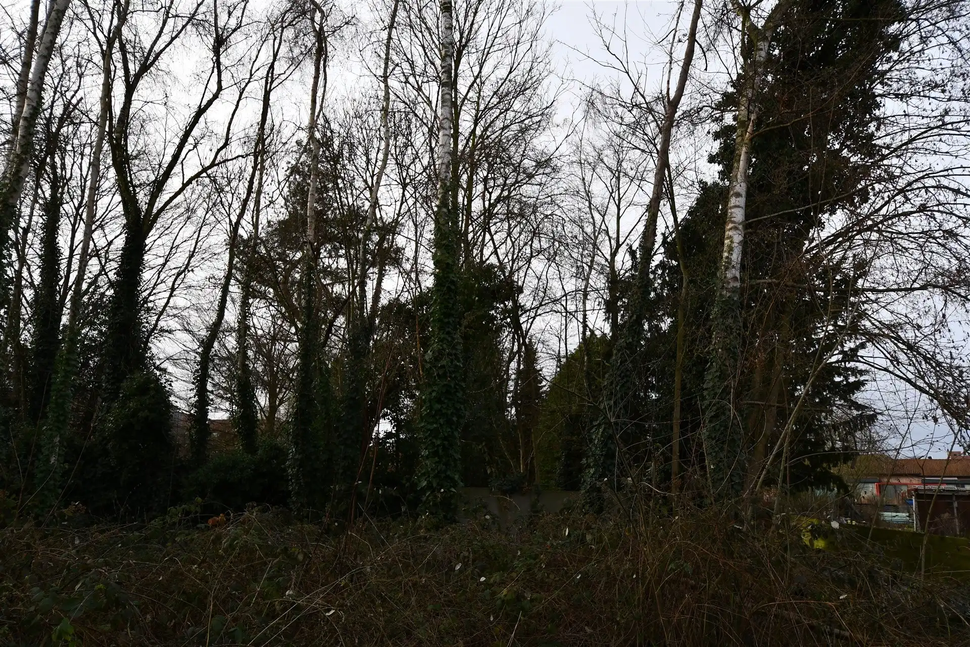 BEN-Woning met 3 slaapkamers in centrum Sint-Pauwels foto 11