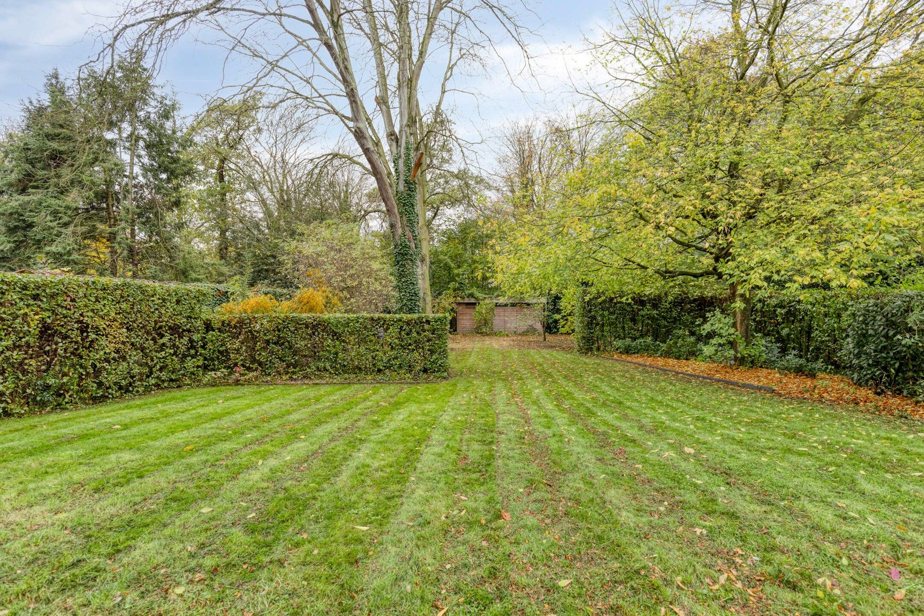 Rustig gelegen villa in het groen foto 23