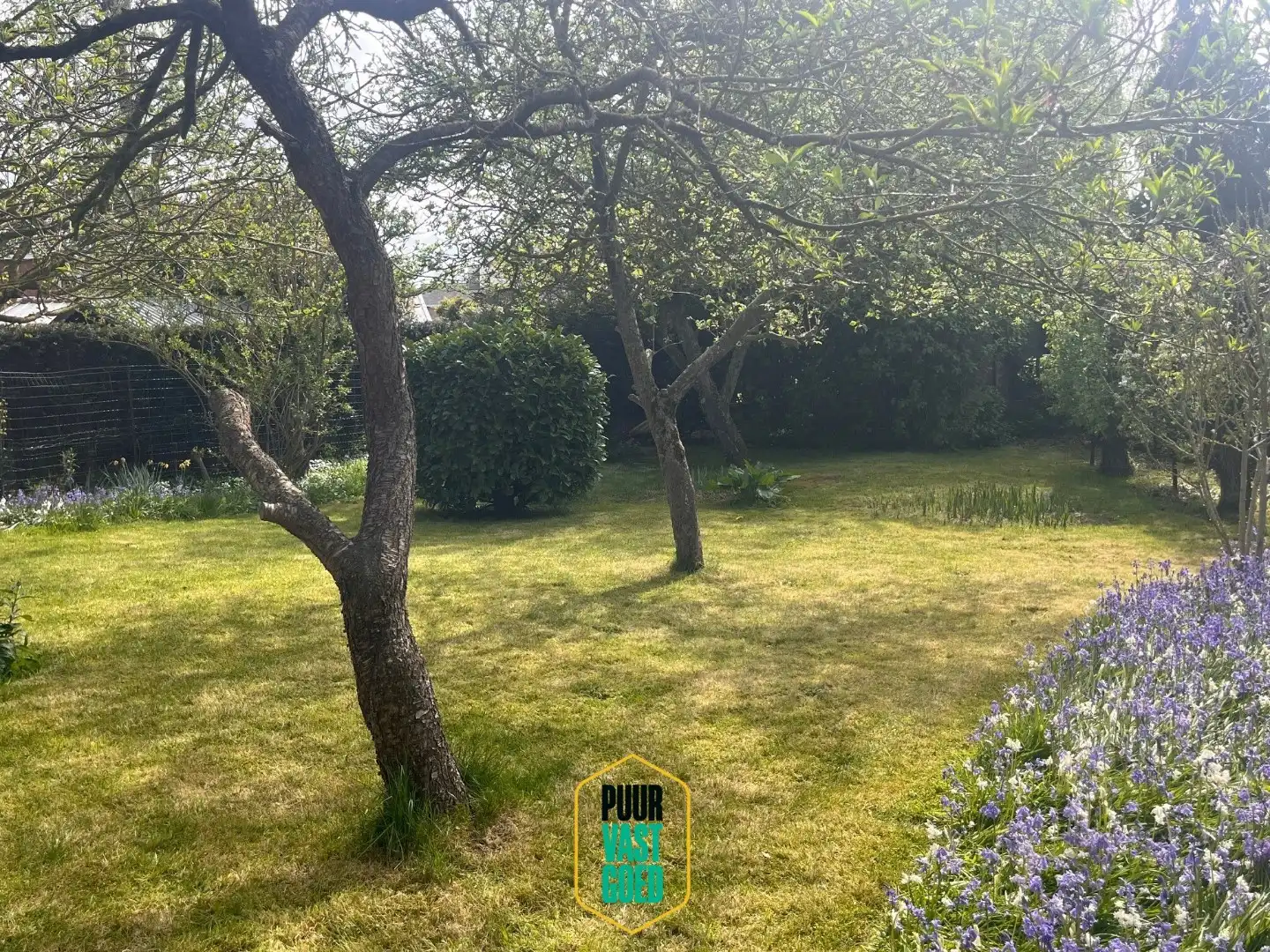 Bijzonder ruim halfopen huis op 5 are grond met toffe zonnige tuin + garage  foto 13