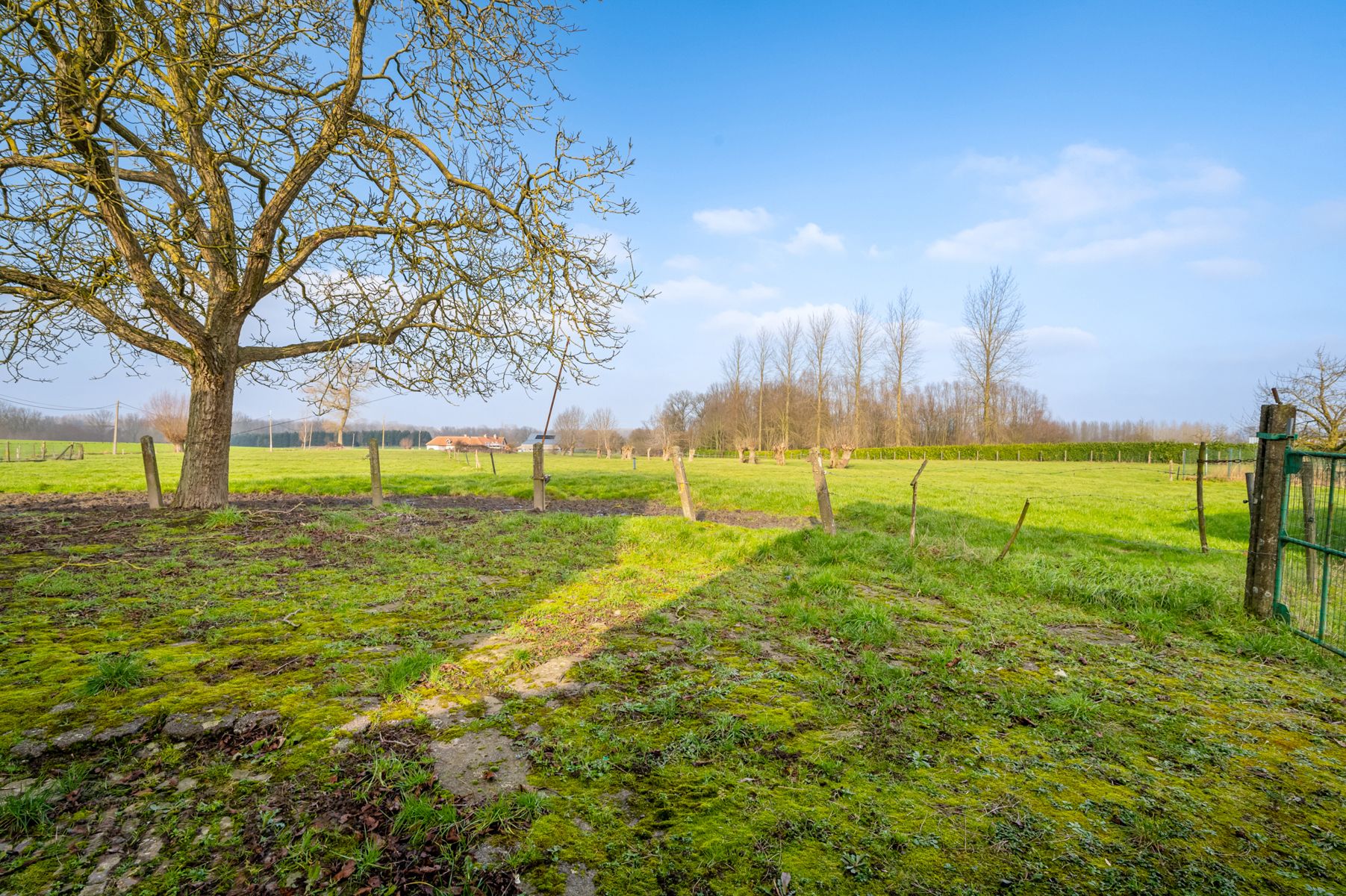 Hoeve + boomgaarden voor Para-agrarisch gebruik! foto 19