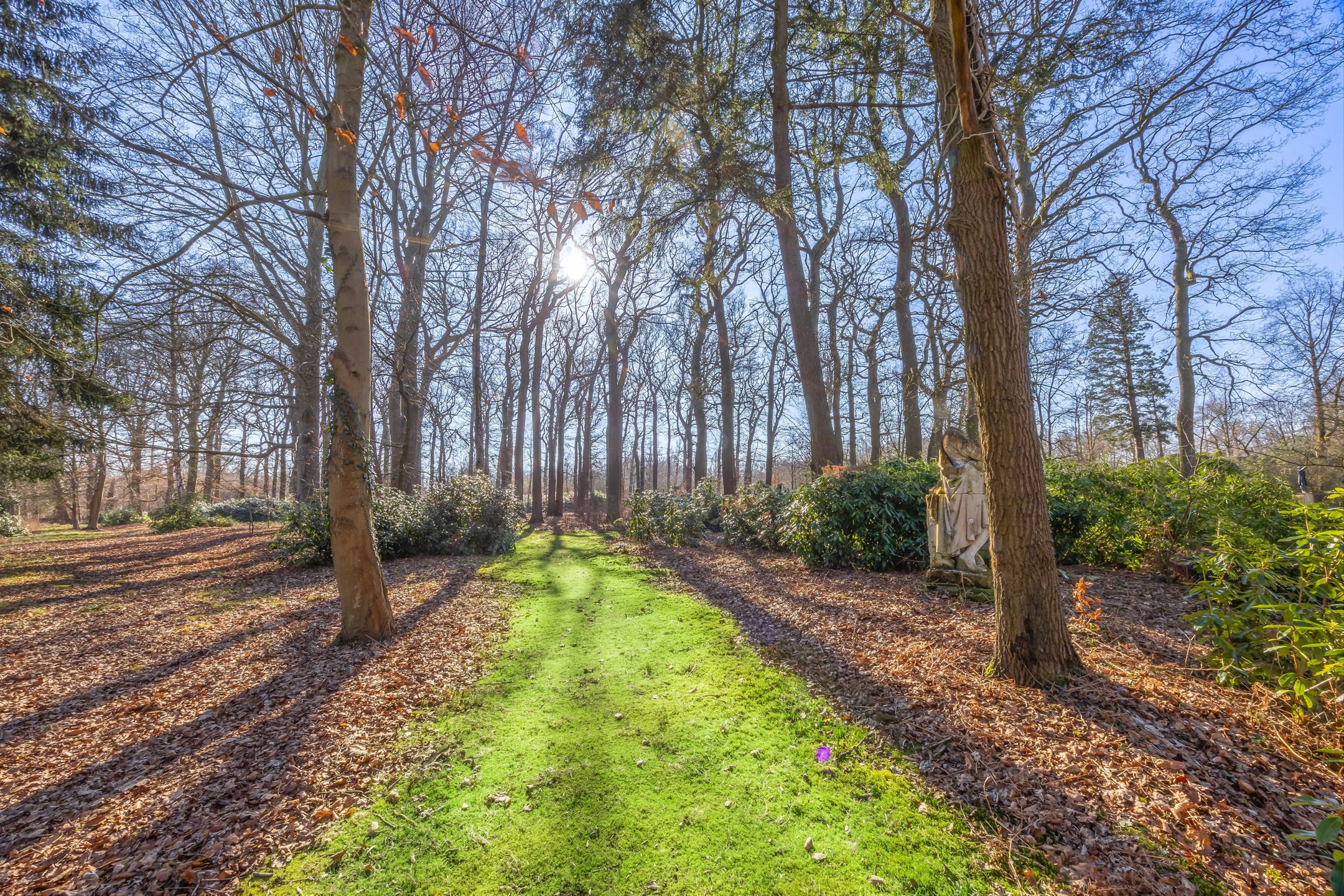 Exclusieve kasteelhoeve met zwembad op 2,7 ha grond, grenzend aan natuurgebied foto 37
