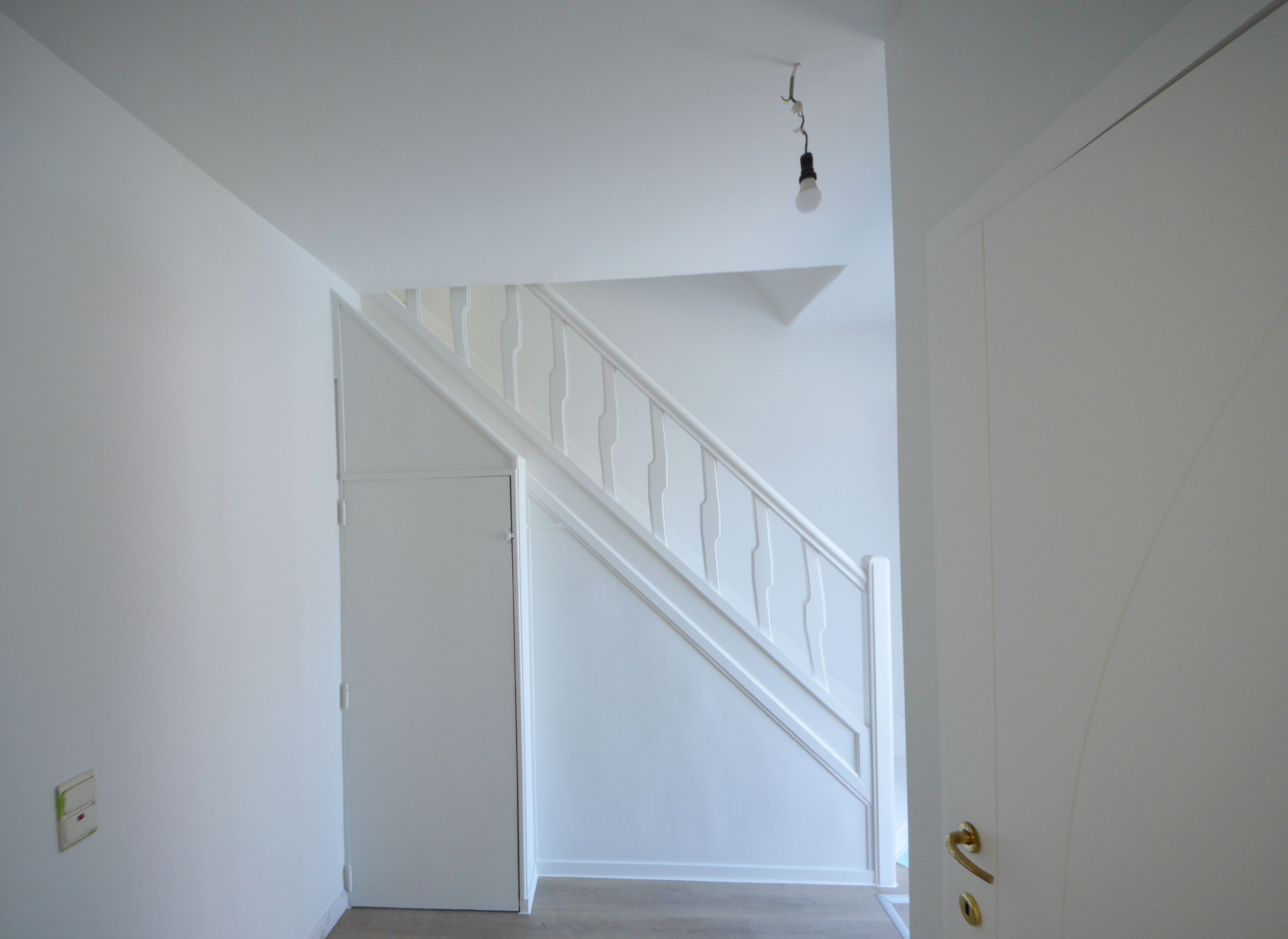 COMPLEET GERENOVEERDE WONING MET GROTE TUIN foto 9