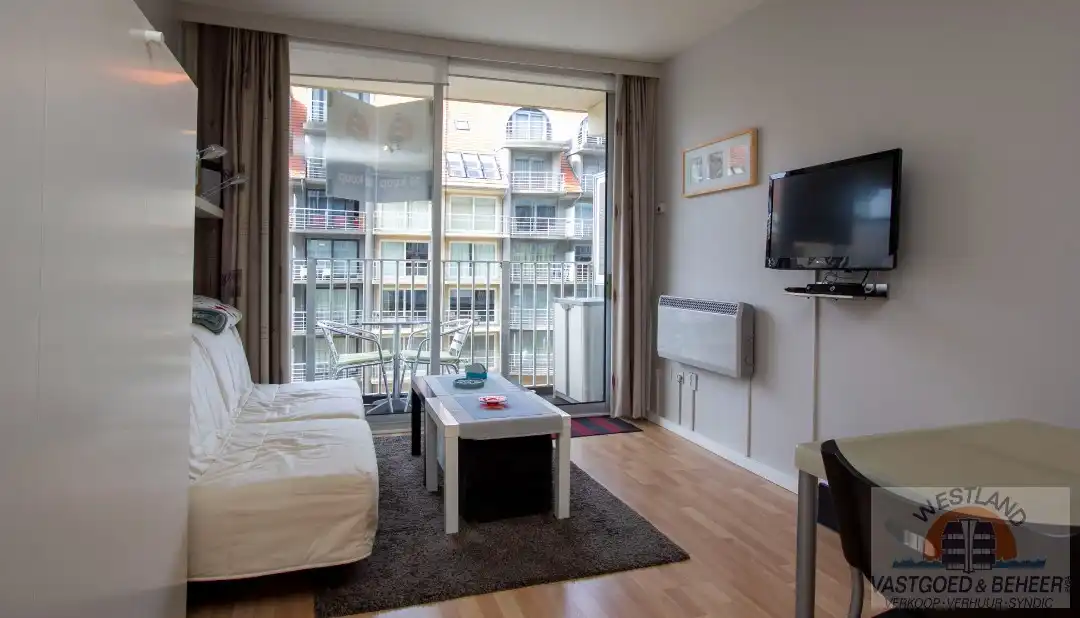 Instapklare, gerenoveerde studio in residentie Santhooft foto {{pictureIndex}}