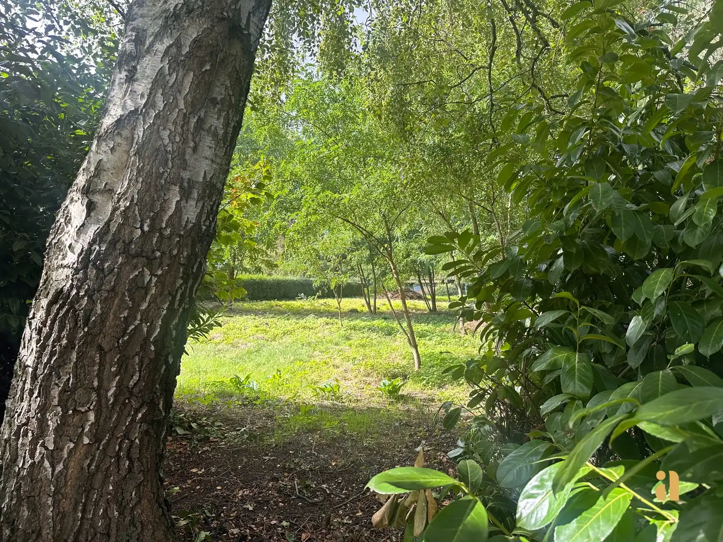 Karaktervolle renovatieparel op prachtig groen perceel foto 8
