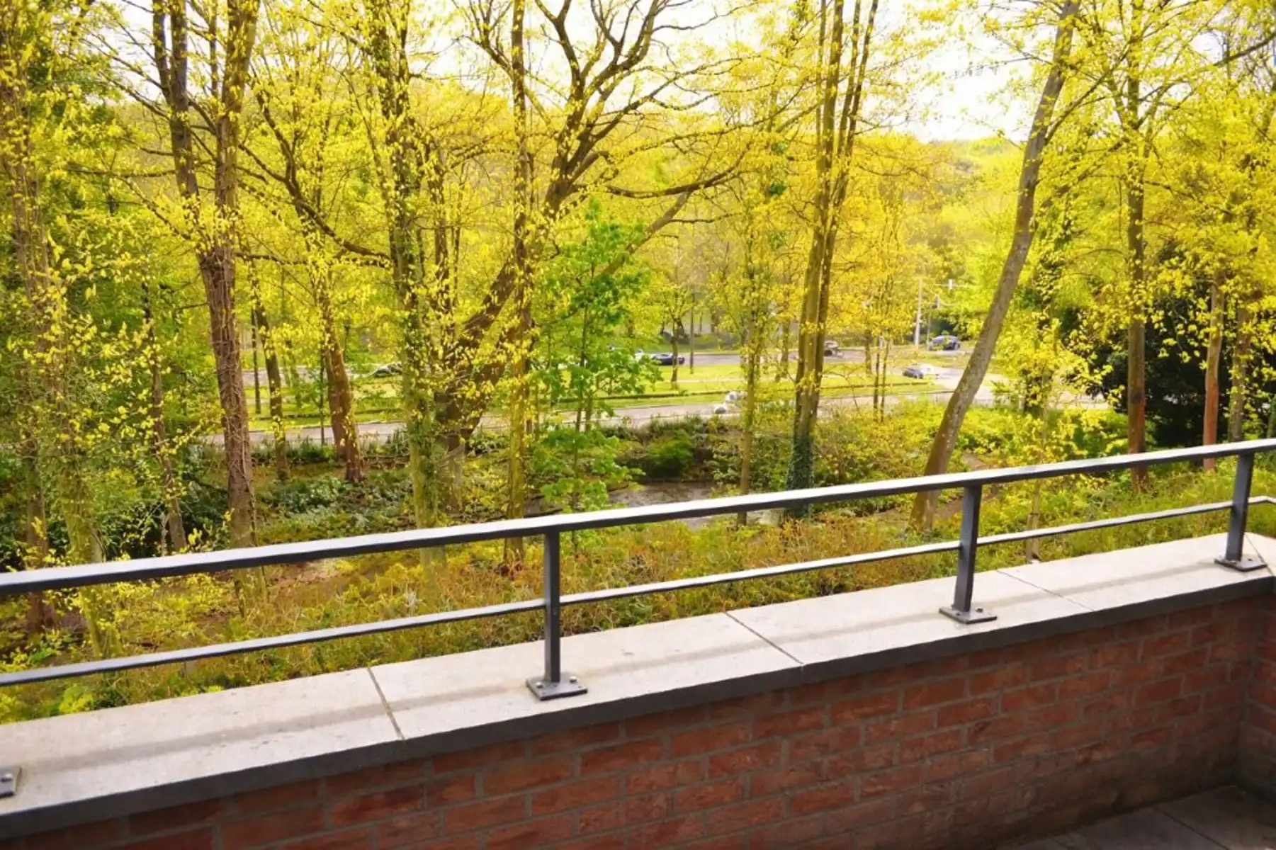 LICHTRIJK - Geronoveerd 1 slpk. appartement met terras foto 3