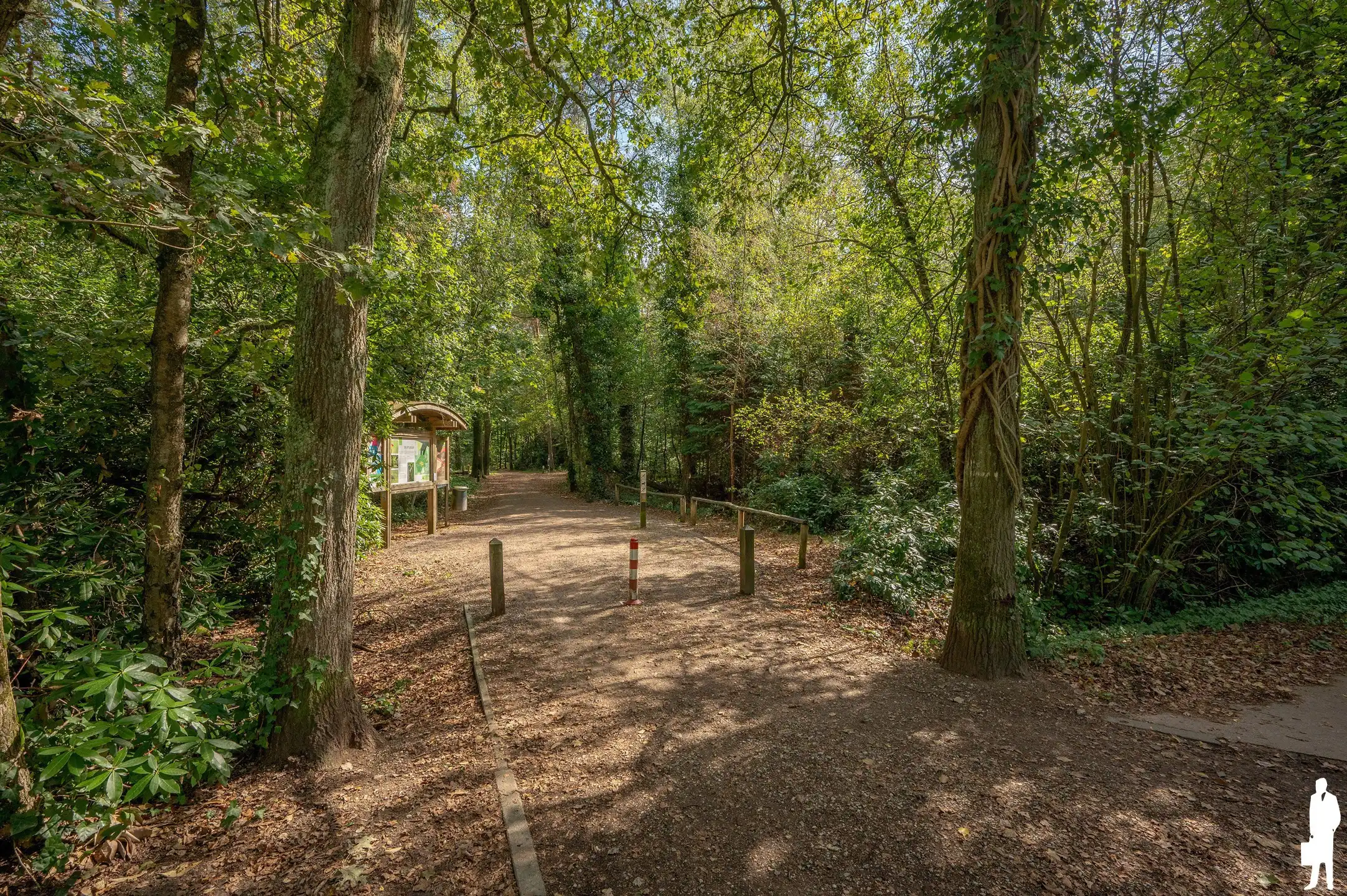 Uniek perceel met evt. vergunde villa! foto 6