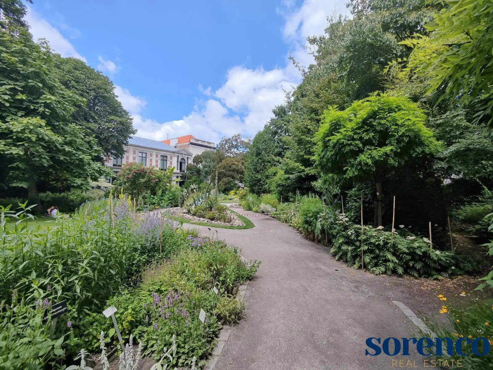 Botanische tuin: Ruim 2 slpk app ca.135m² met terras foto 15