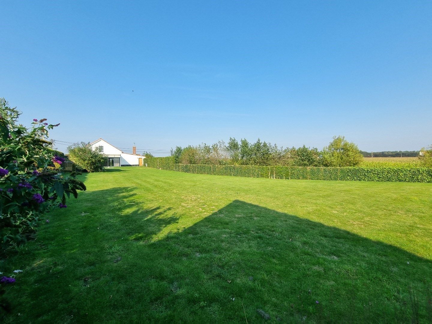 Vrijstaande landelijke woning te Westkapelle met magnifieke vergezichten  foto 2