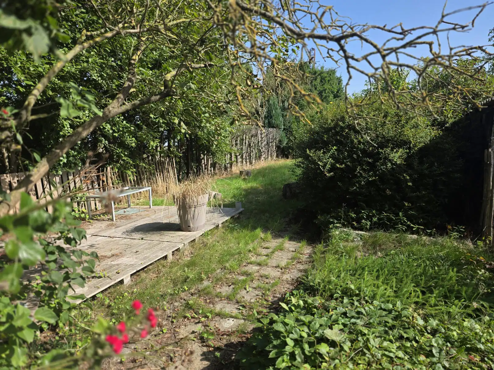 Te renoveren woning met mooie tuin!!! foto 9