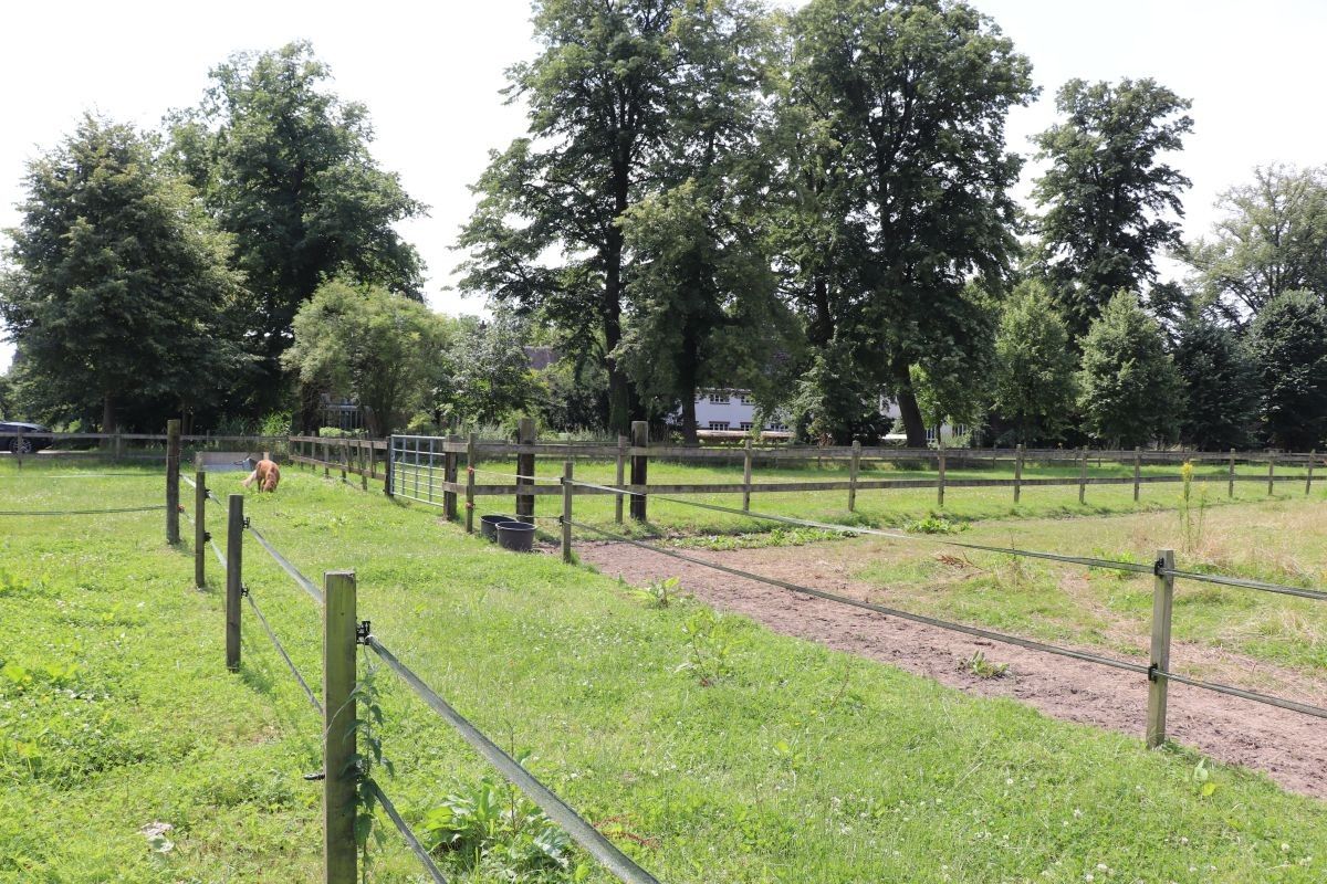 Omheinde weide met paardenstallen te koop te Rotselaar foto 8