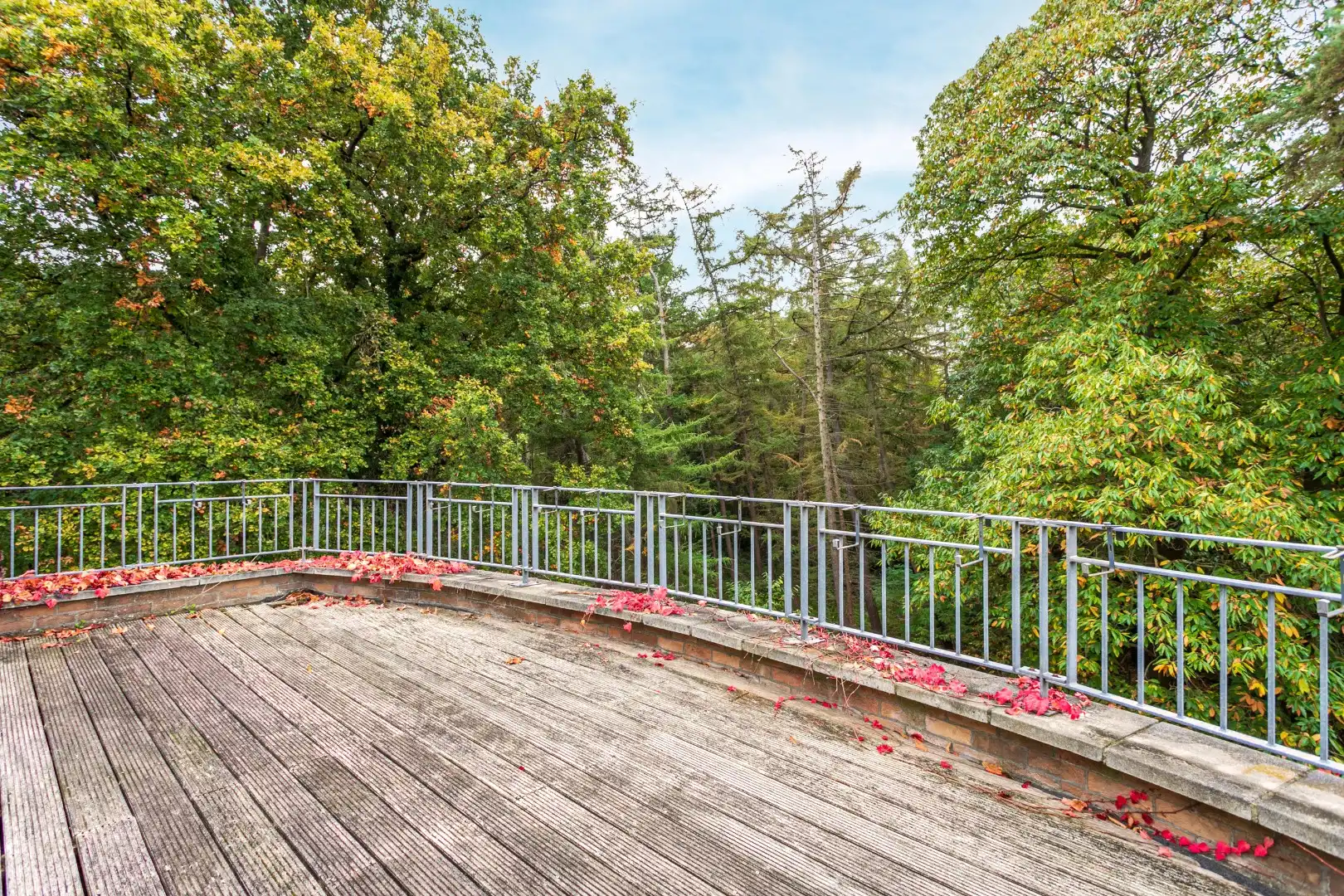 Appartement te koop Kluisbos 51 -/302 - 1501 Halle