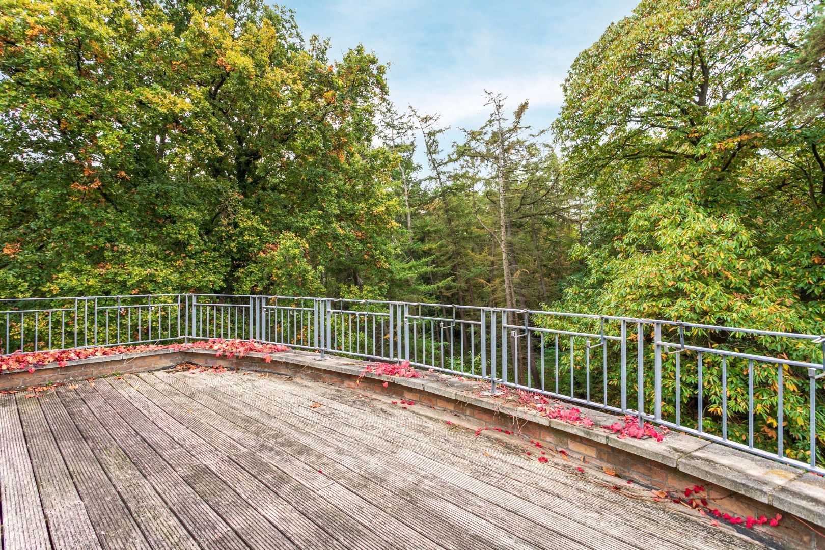 Appartement te koop Kluisbos 51 -/302 - 1501 Halle