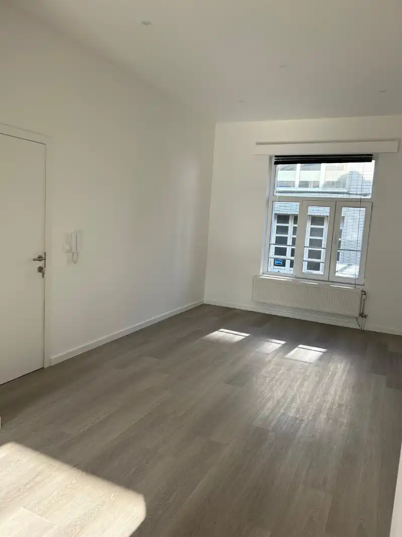 Volledig gerenoveerd  1-slaapkamerappartment foto 16