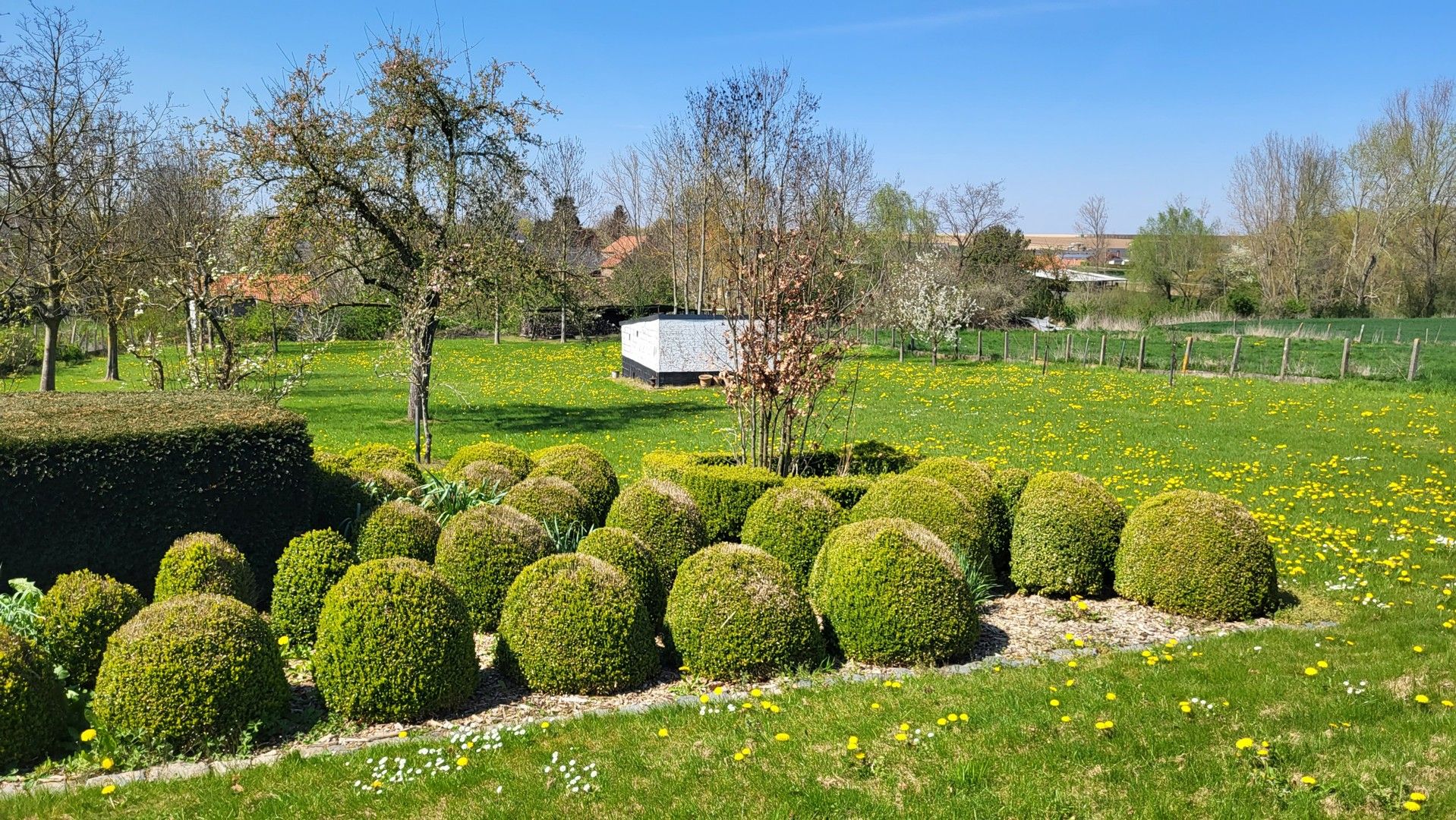 Prachtige bungalow in het lieflijke Neerlanden, temidden van de velden foto 5