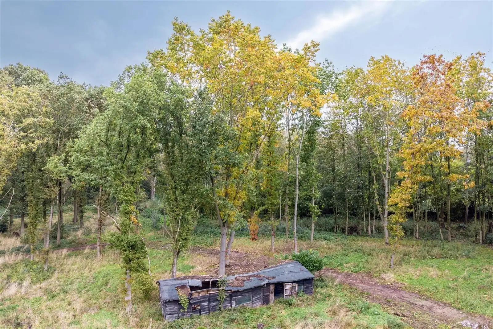 Bouwgrond in unieke groene omgeving in Asse  foto 4