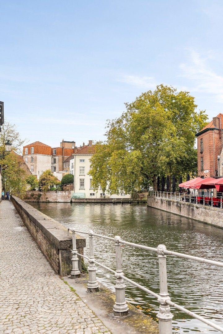 af te werken kangoeroewoning met binnentuin binnen de Brugse Reien foto 11
