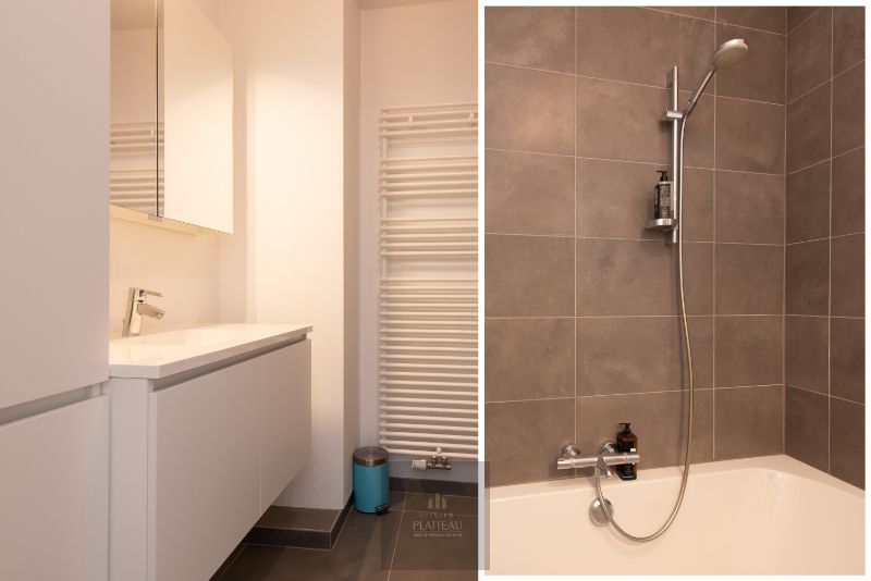 Recent duplex-appartement met één slaapkamer en slaaphoek. foto 28