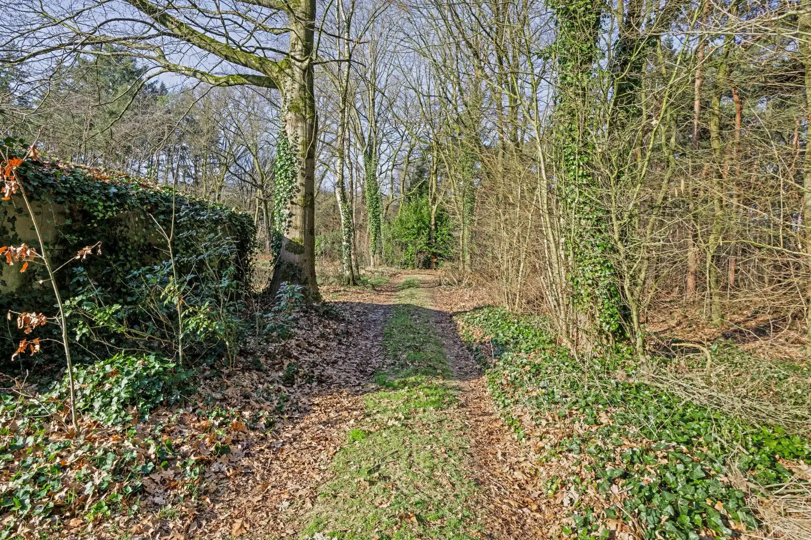 Unieke woonst op 13 hectare: rust, natuur en eindeloze mogelijkheden! foto 11