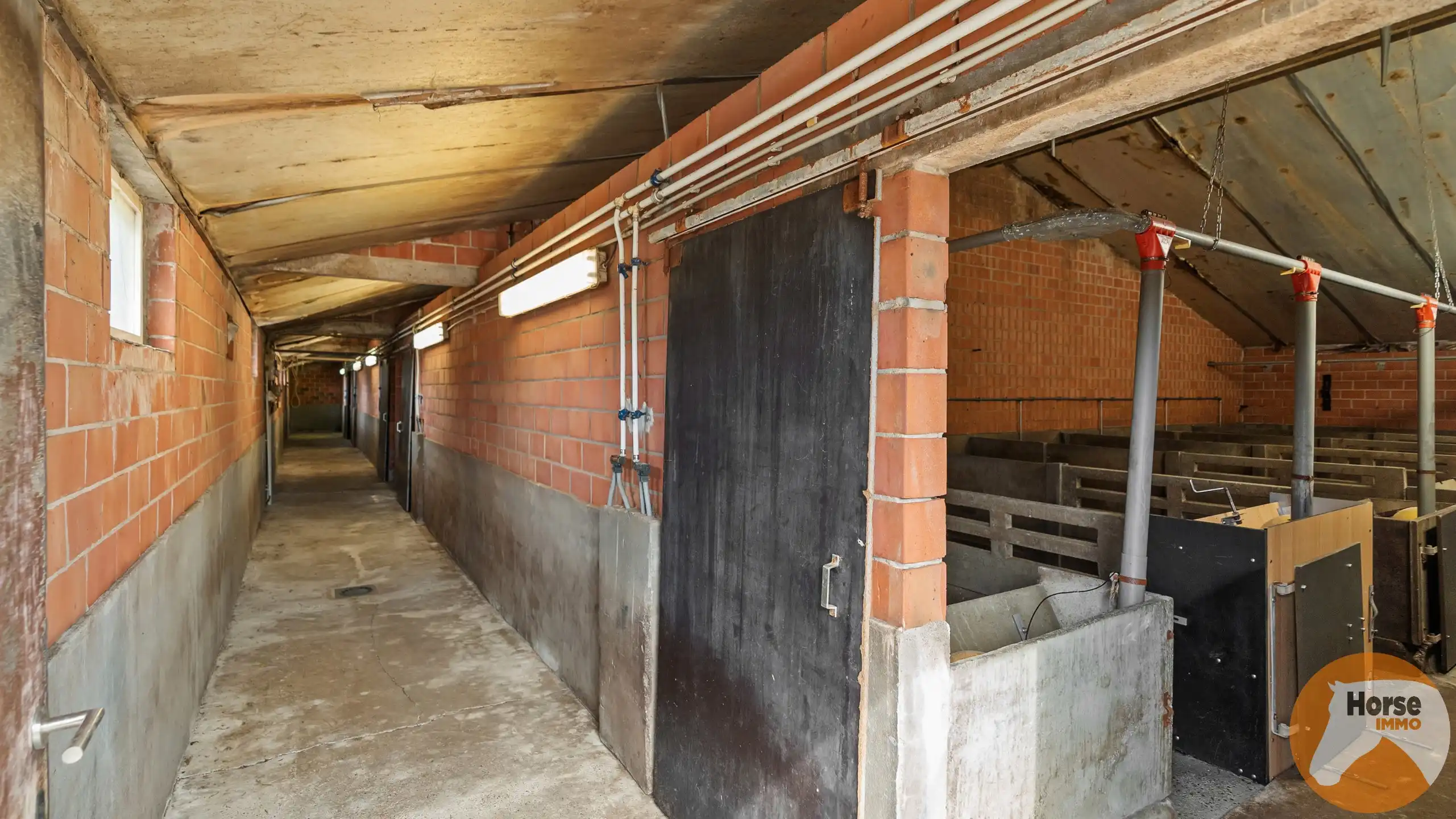 SCHAFFEN - Landbouwwoning op +/- 6,7 ha en paardenstalling foto 12