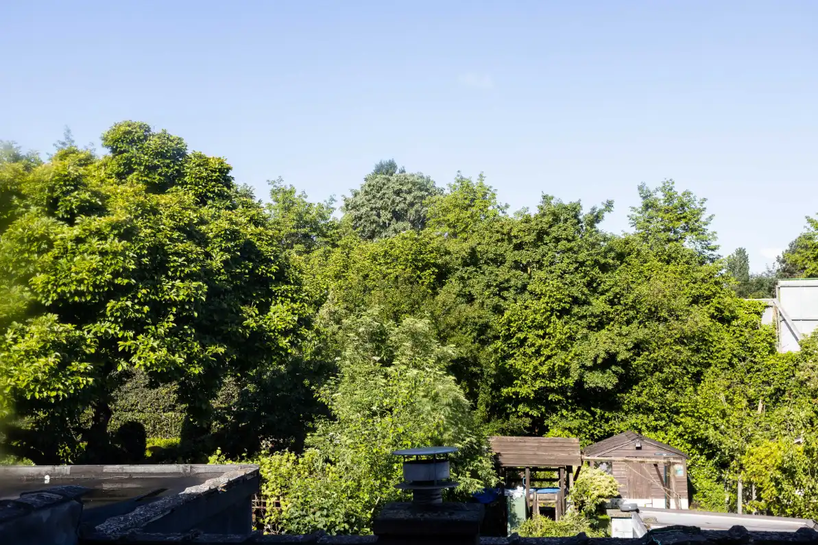 Rijwoning  met 4 slaapkamers en mooie tuin foto 16