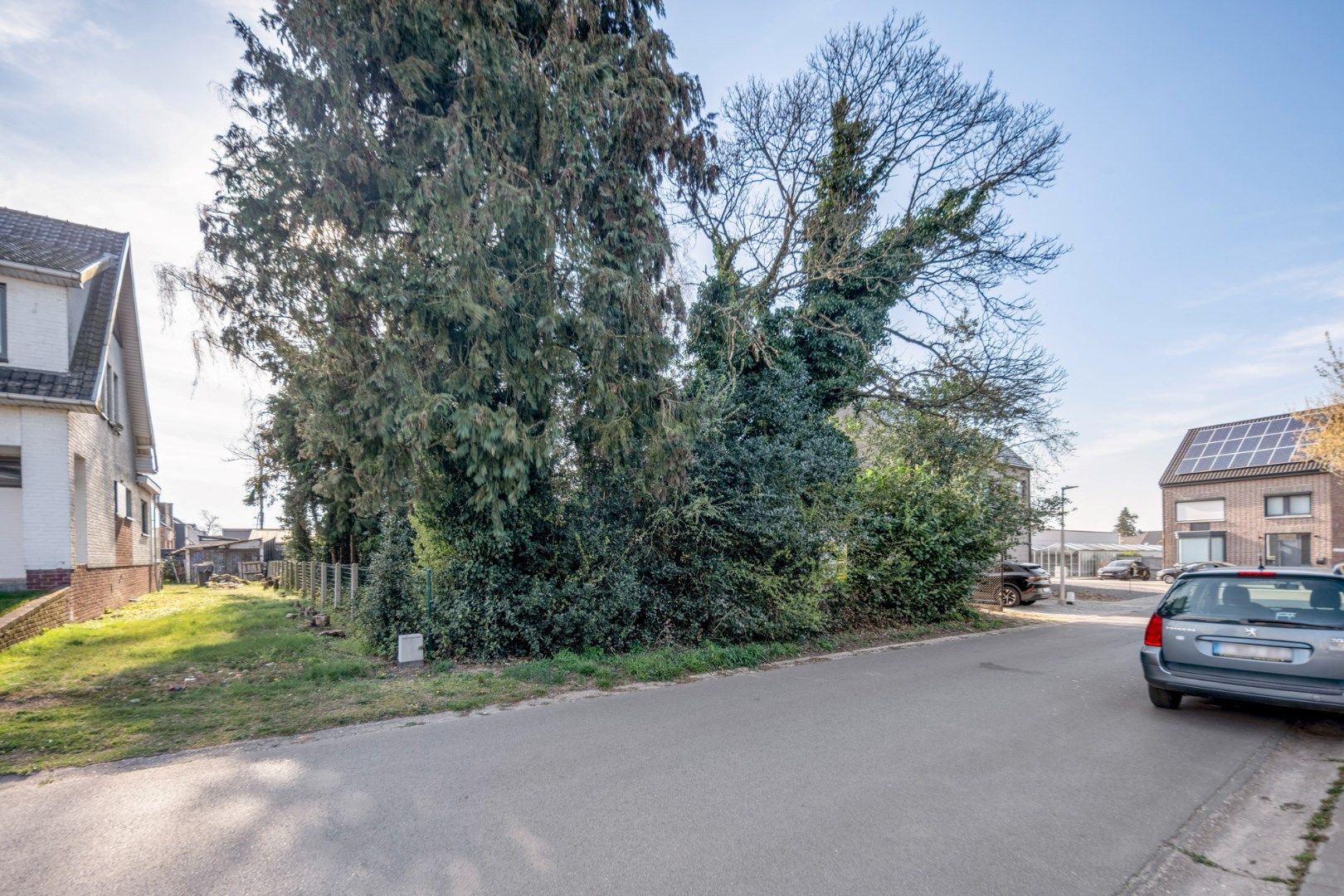 IN OPTIE - Mooie bouwgrond op 5a24ca bestemd voor open bebouwing, met west-gerichte tuin, vlakbij het centrum van Munsterbilzen foto 2
