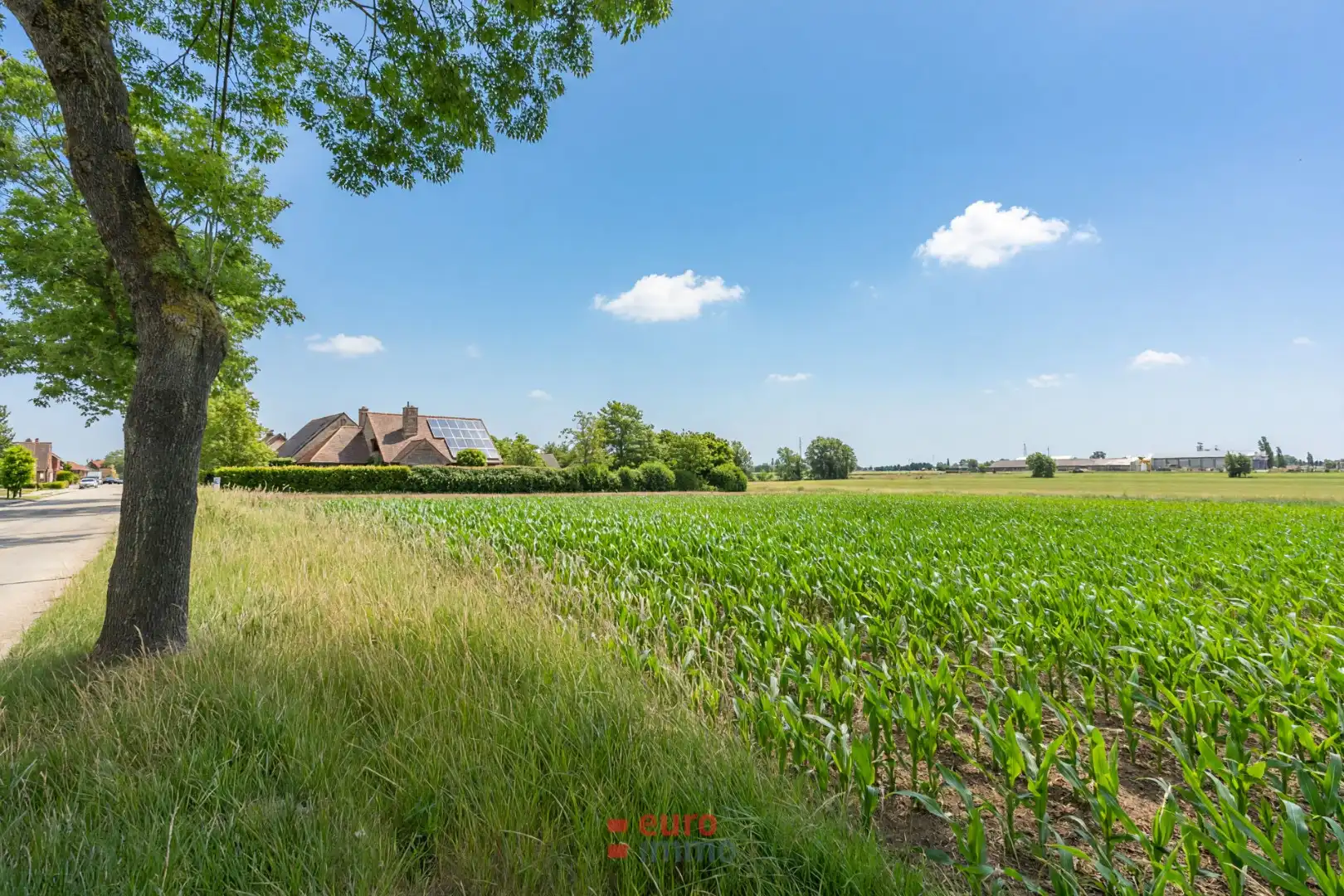 Exclusief gelegen bouwgrond aan de buitenrand van Ieper! foto 2