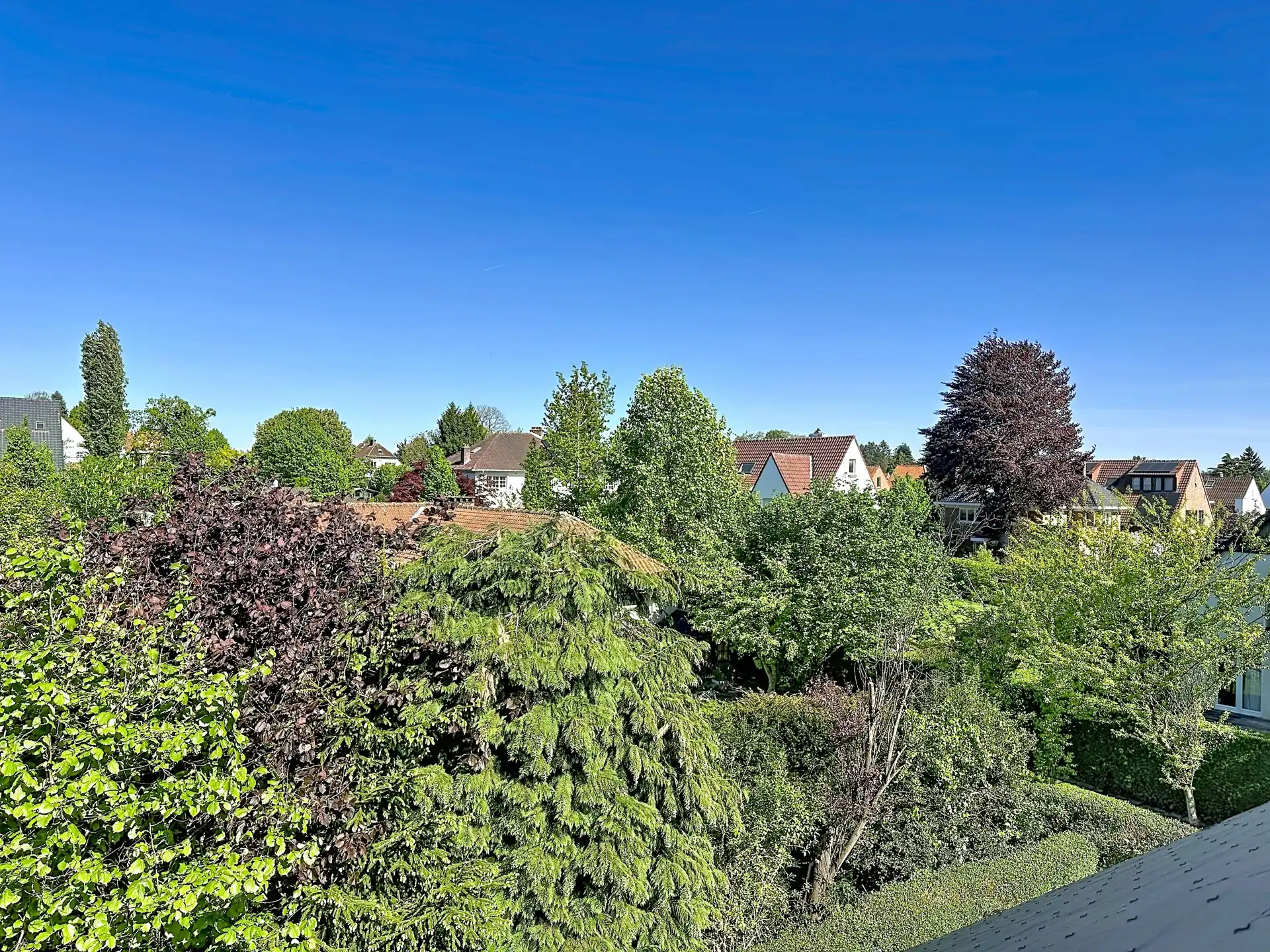 VILLA MET CHARME - DISCREET GELEGEN MET PRIVATIEVE WEG foto 22