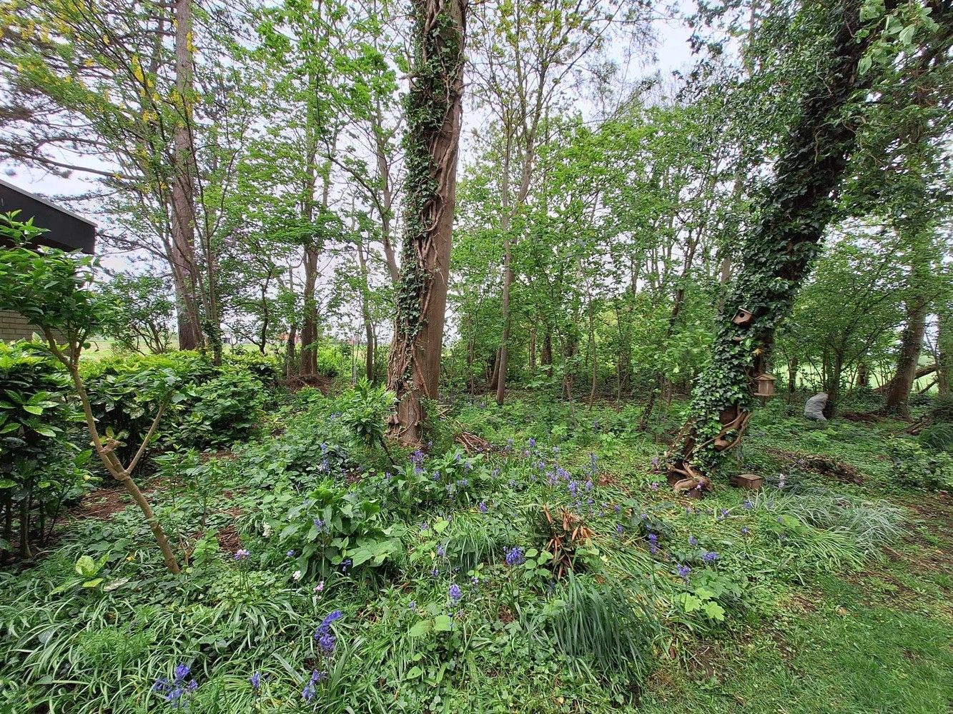 Afzonderlijk gelegen hoeve te koop op 3,66 ha te Zedelgem - Veldegem foto 19