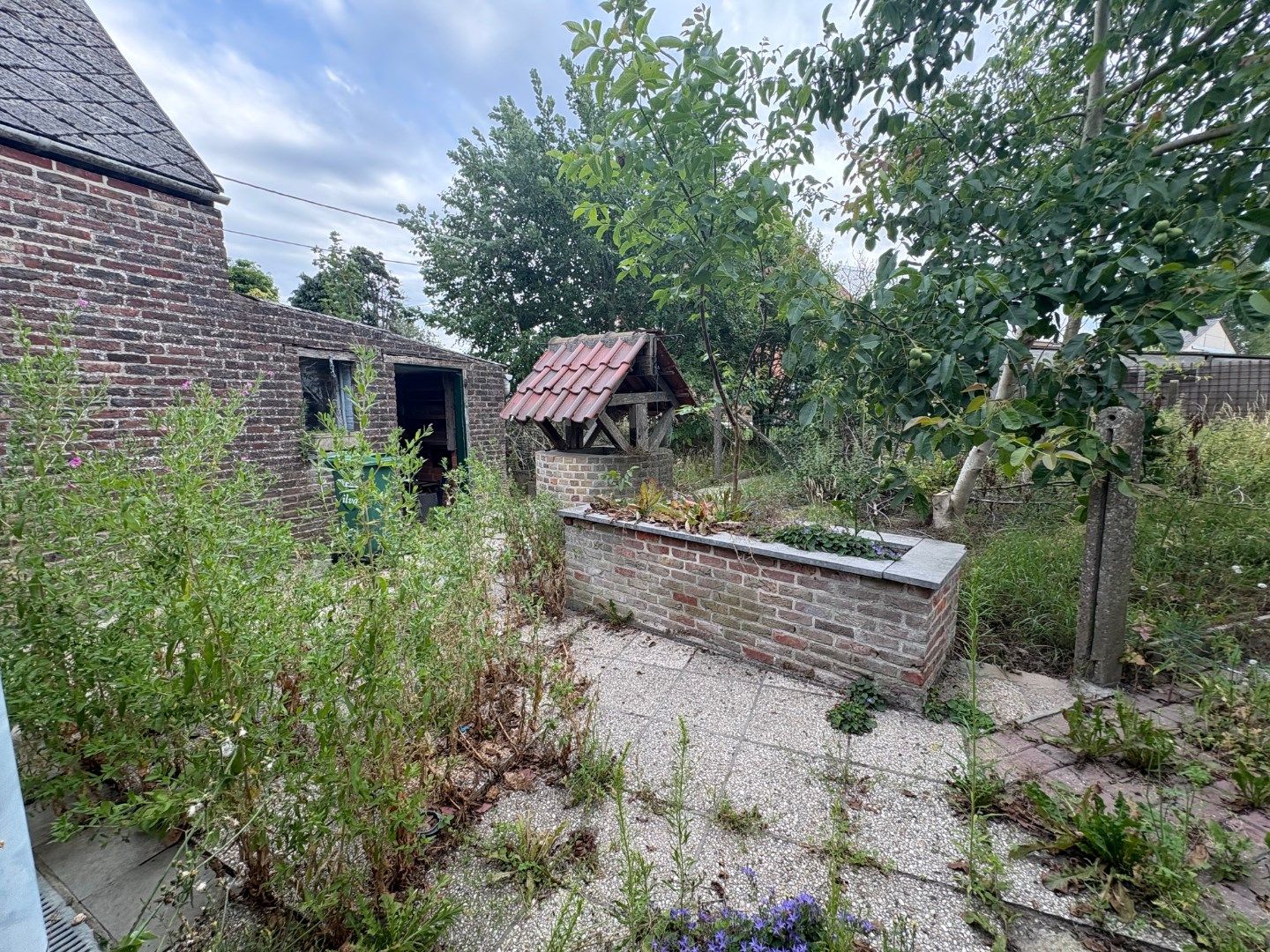 Renovatiepand of bouwgrond foto 12
