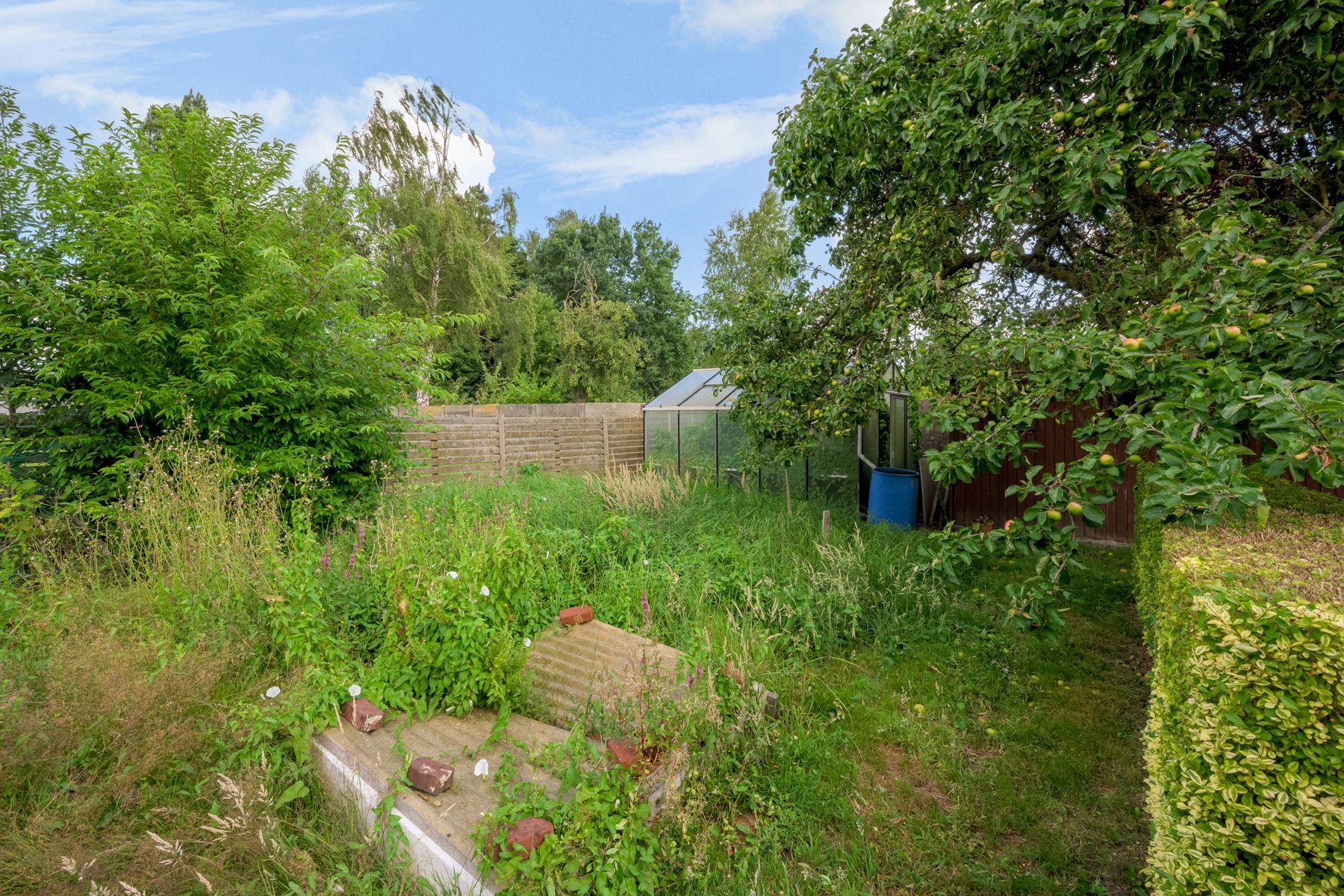 Goed onderhouden woning met 3 kamers, 2 garages en tuin. foto 18