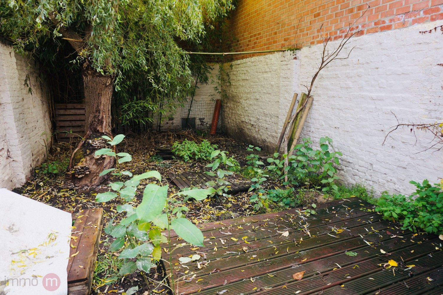 Ruime rijwoning met 3 slaapkamers en tuin. foto 7