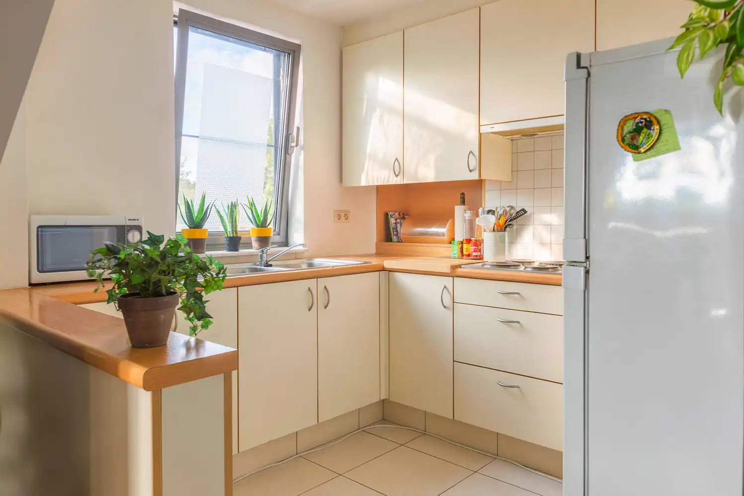 Lichtrijk appartement met ruim dakterras in het centrum van Balen foto 4