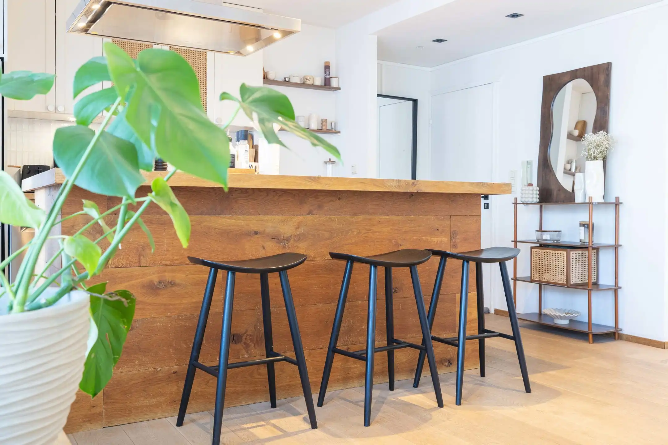 Gerenoveerd appartement met vrij uitzicht op het park foto 11