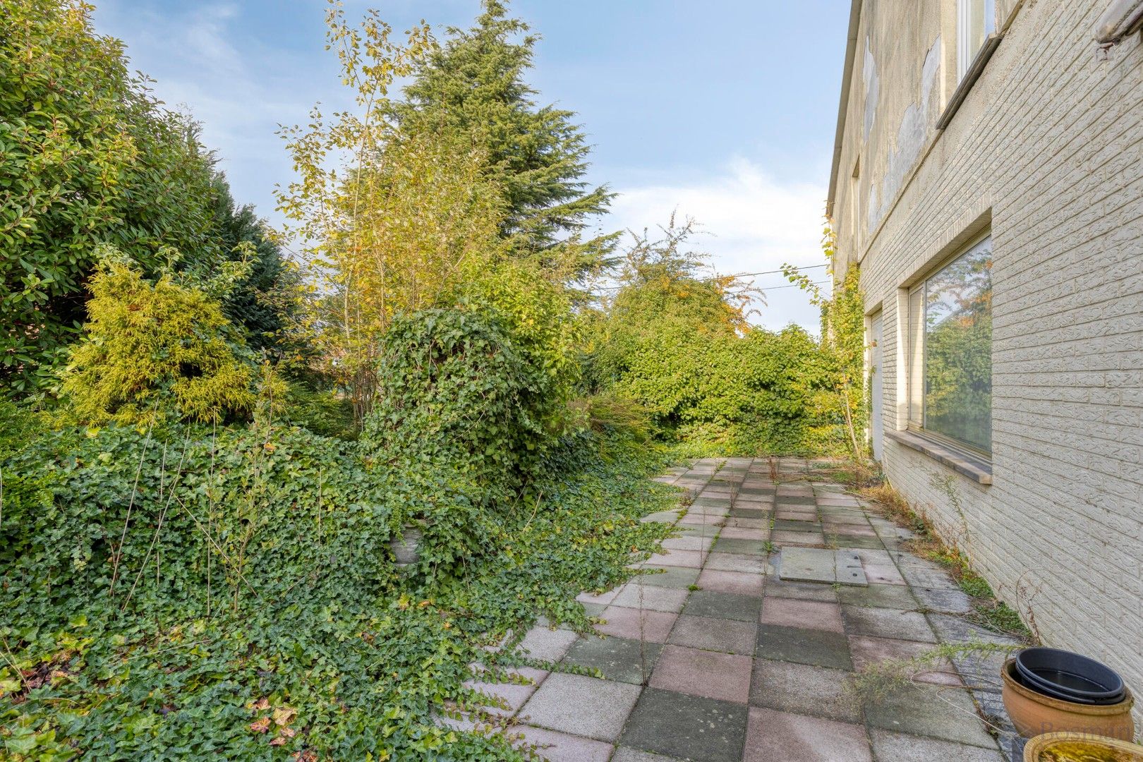 Handelspand met woonst of projectgrond te koop in Scherpenheuvel-Zichem foto 19