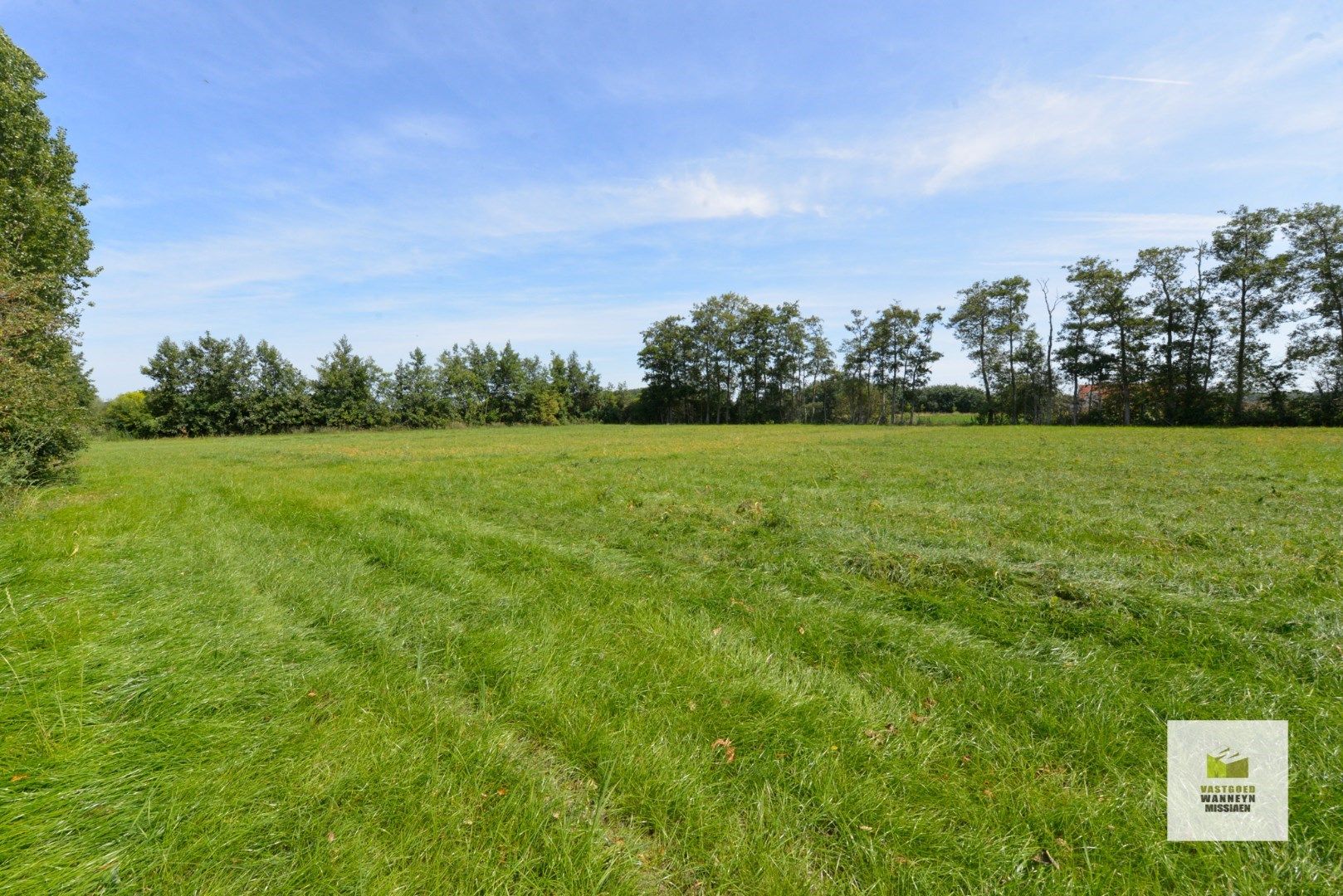 Villa met weide 3.500 m2 en akkerland van 1,4 Ha mét vergunning voor een nieuwe loods van 300 m2  foto 5
