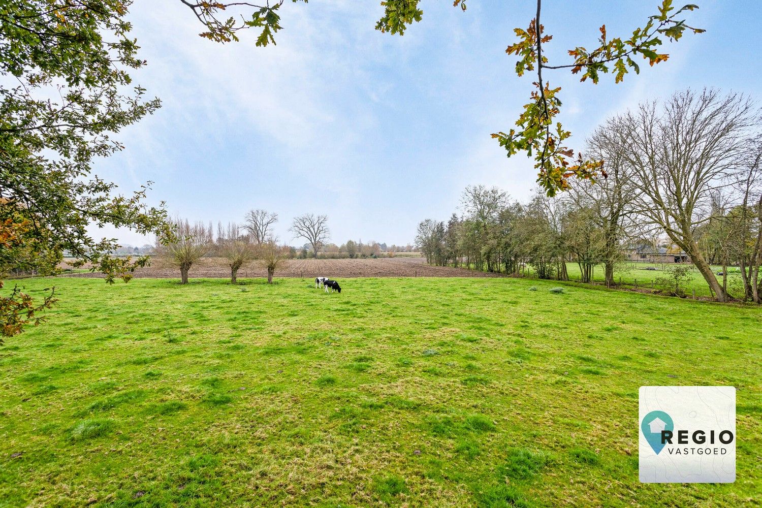 Uitzonderlijk gunstig gelegen laagbouwvilla – Landelijk verzicht. foto 27