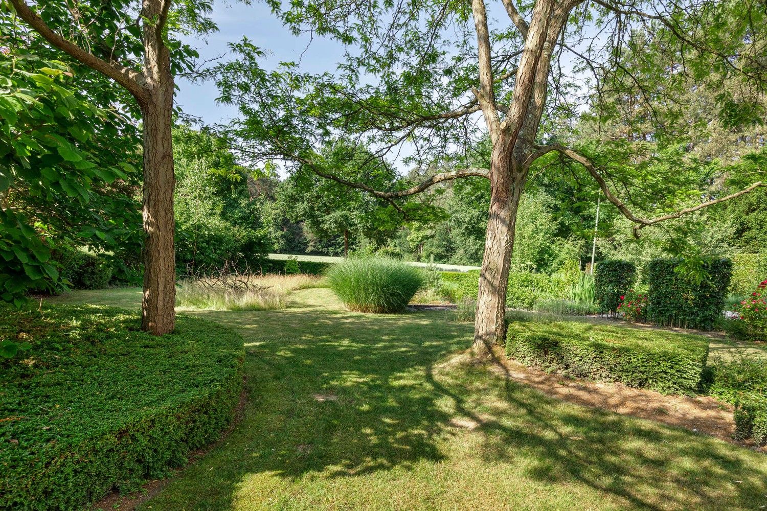 Unieke gezinswoning met prachtig groen zicht, aan de rand van Heverleebos foto 34