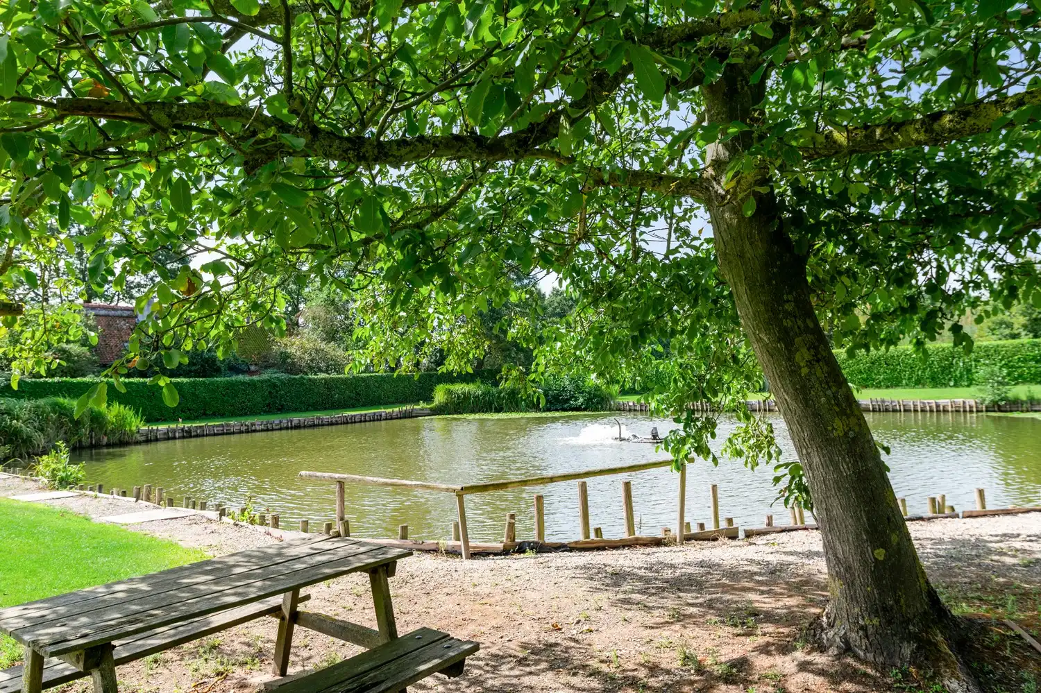 Gerenoveerde villa met bijgebouw en vijver op een perceel van 1,8 ha te Putte foto 3