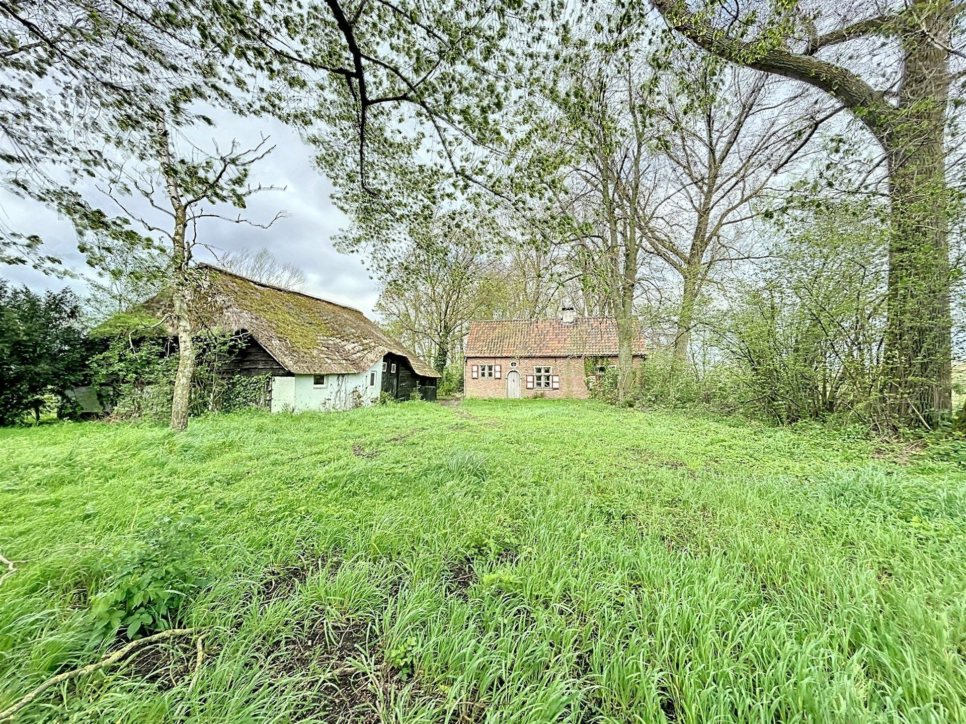 PRACHTIG GELEGEN HOEVE met bijgebouw op 19892m² foto 1