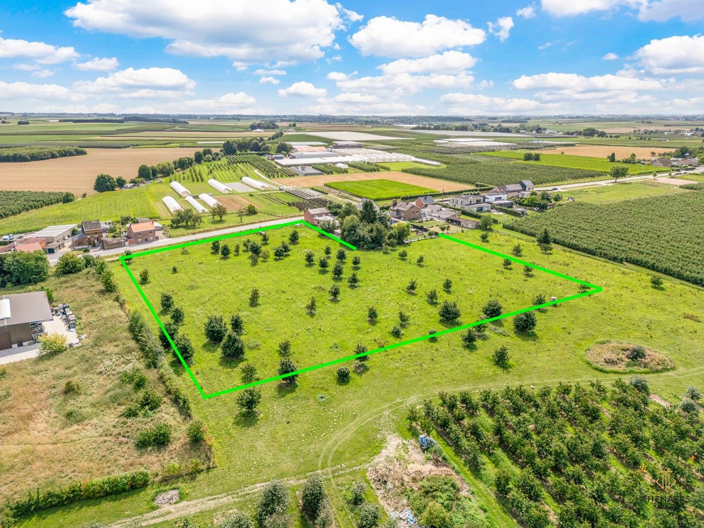 Weide grond met een opp. van 1Ha foto {{pictureIndex}}