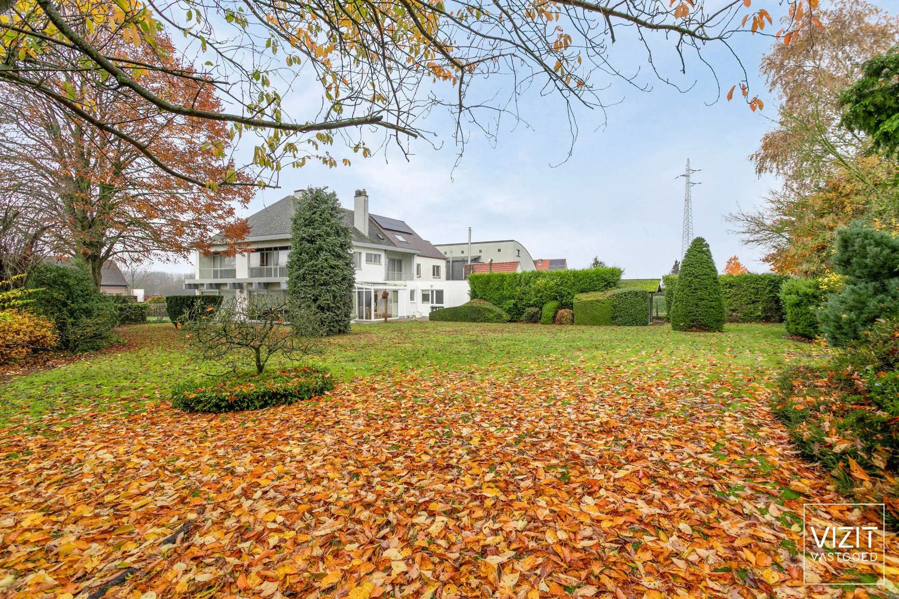 Ruime woning langs de stadsrand van Ninove  foto 4