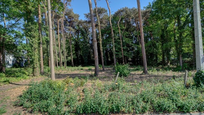 Perceel bouwgrond van 6are 53ca voor open bebouwing foto 3